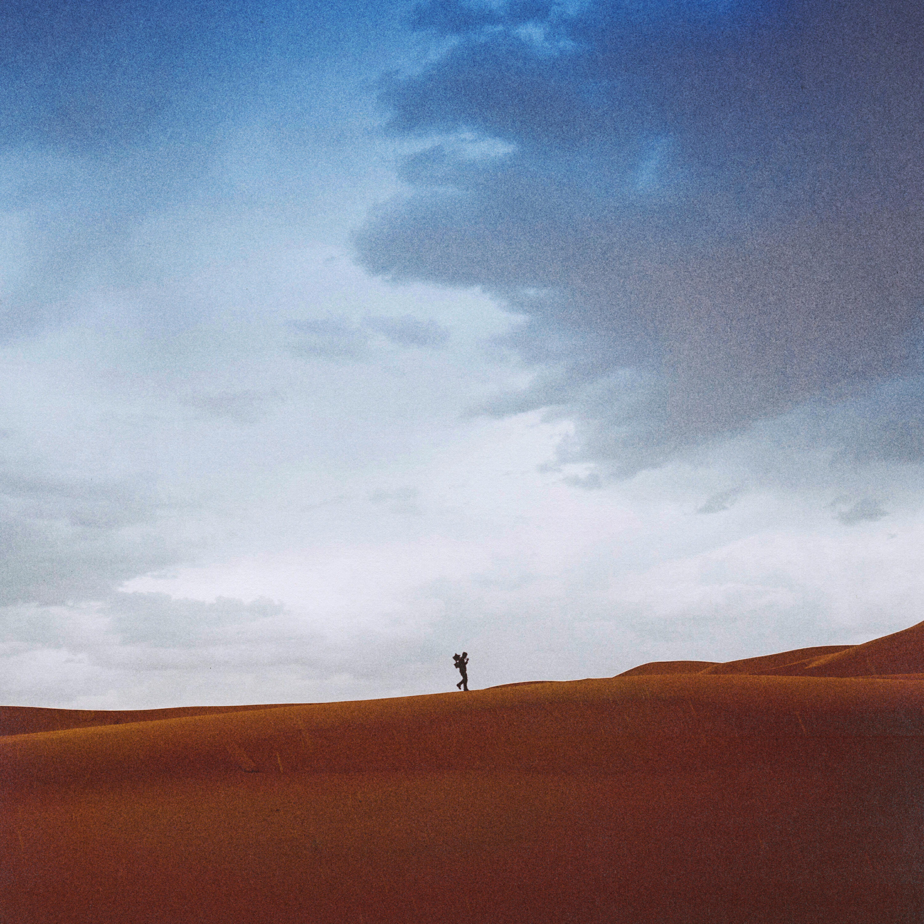 Релиз Hell In High Heels