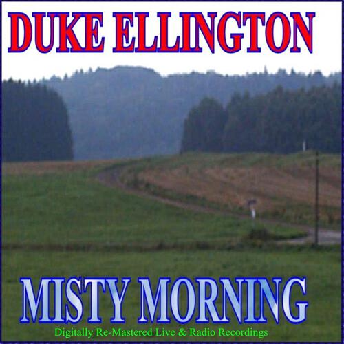 Постер альбома Misty Morning