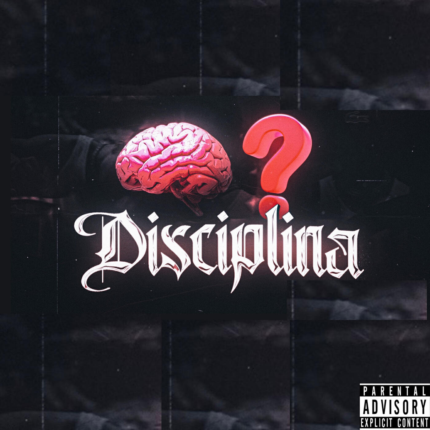 Релиз Disciplina