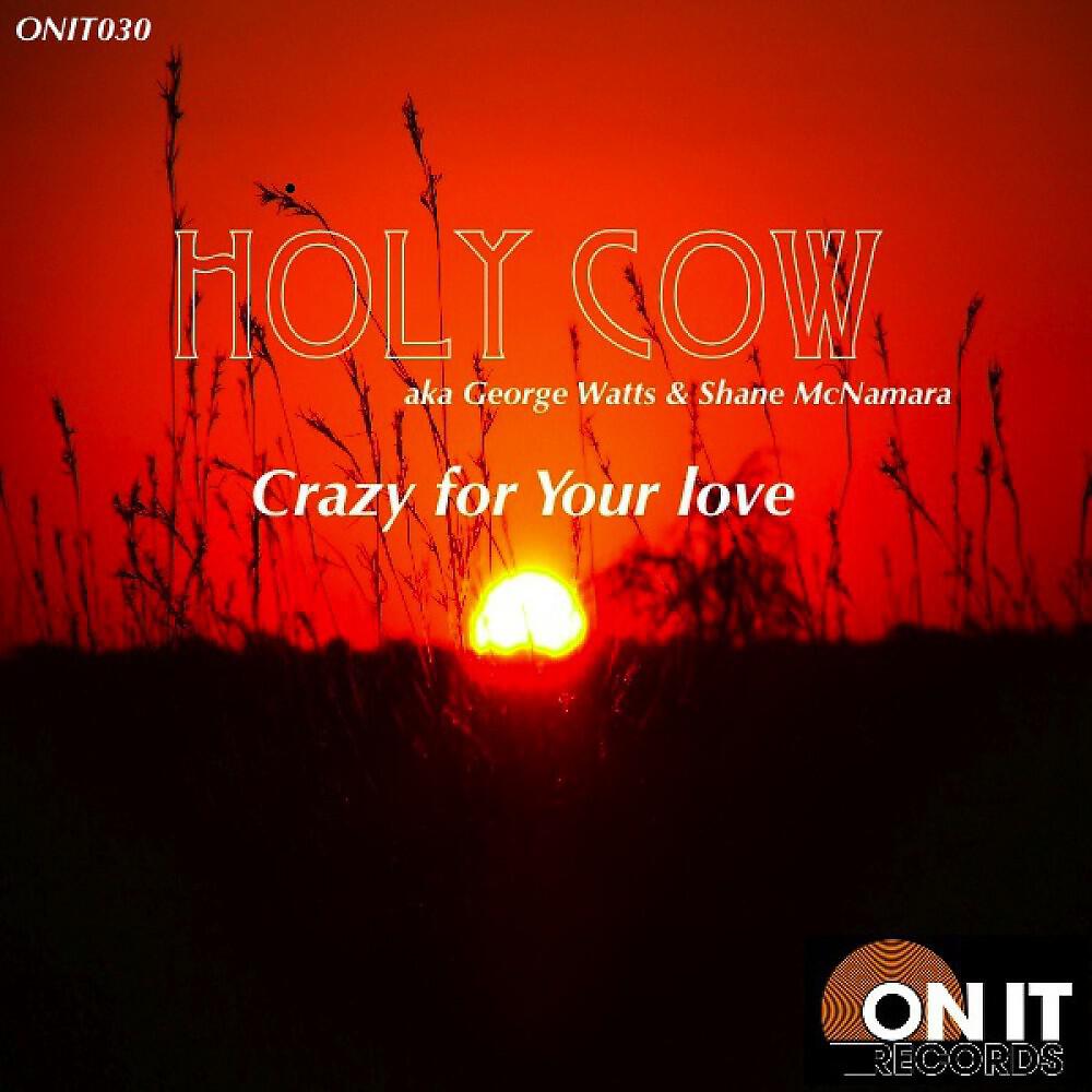 Релиз Crazy for Your Love