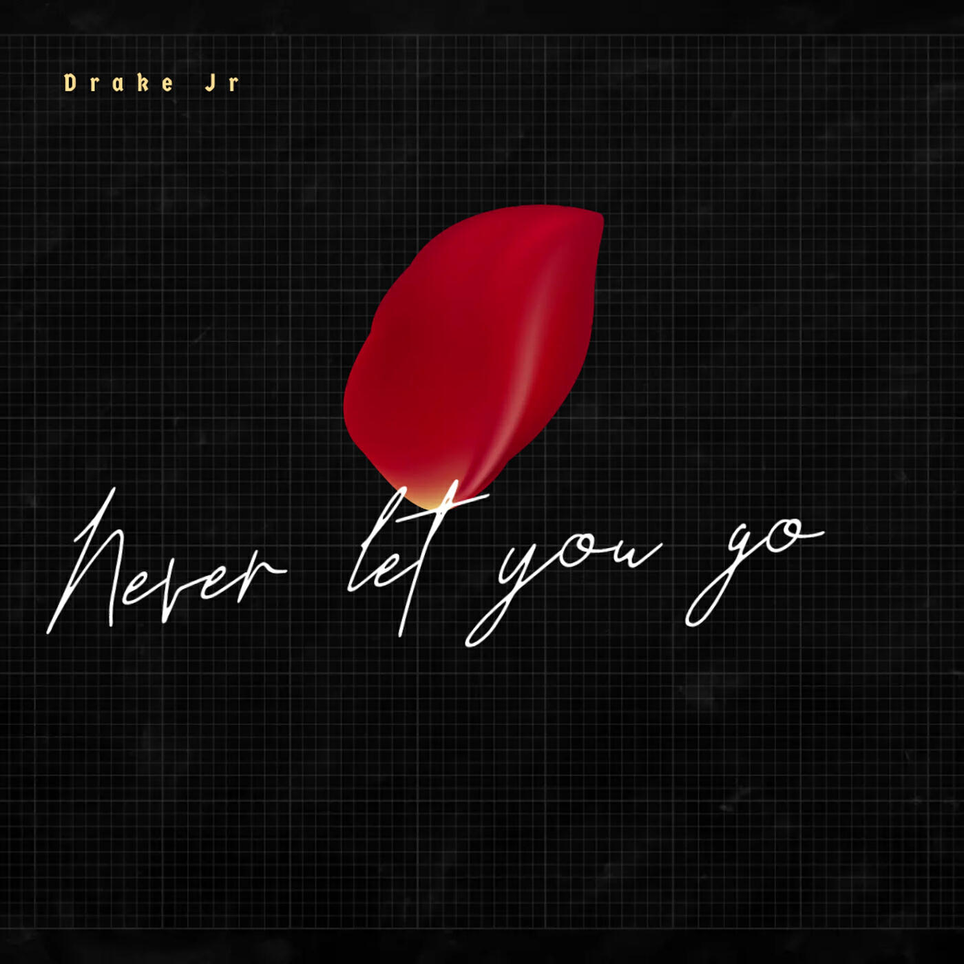 Релиз Never Let You Go