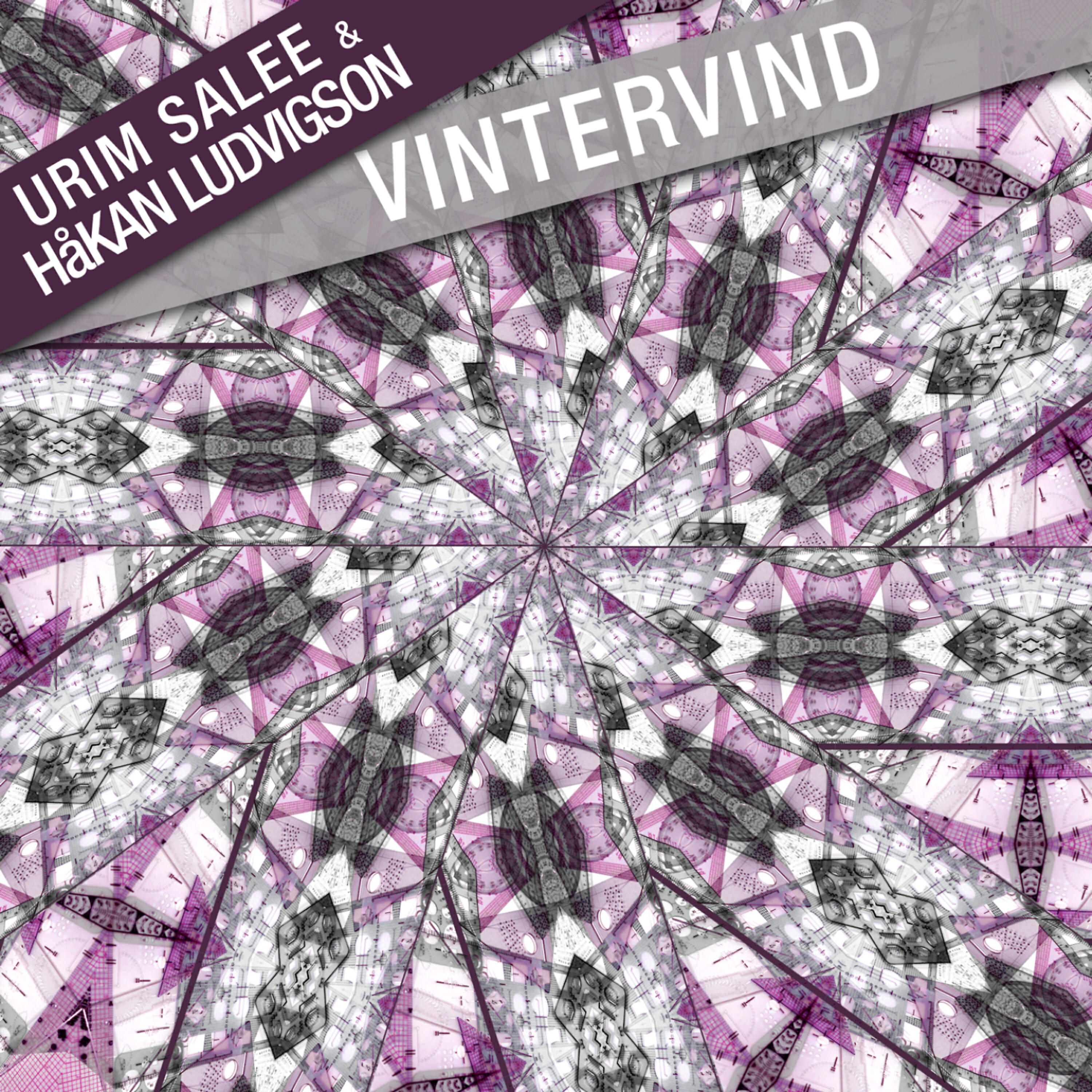 Релиз Vintervind - Single