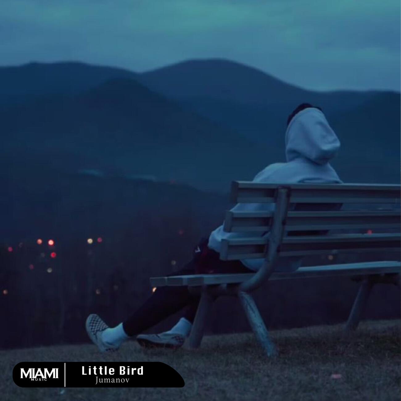 Релиз Little Bird