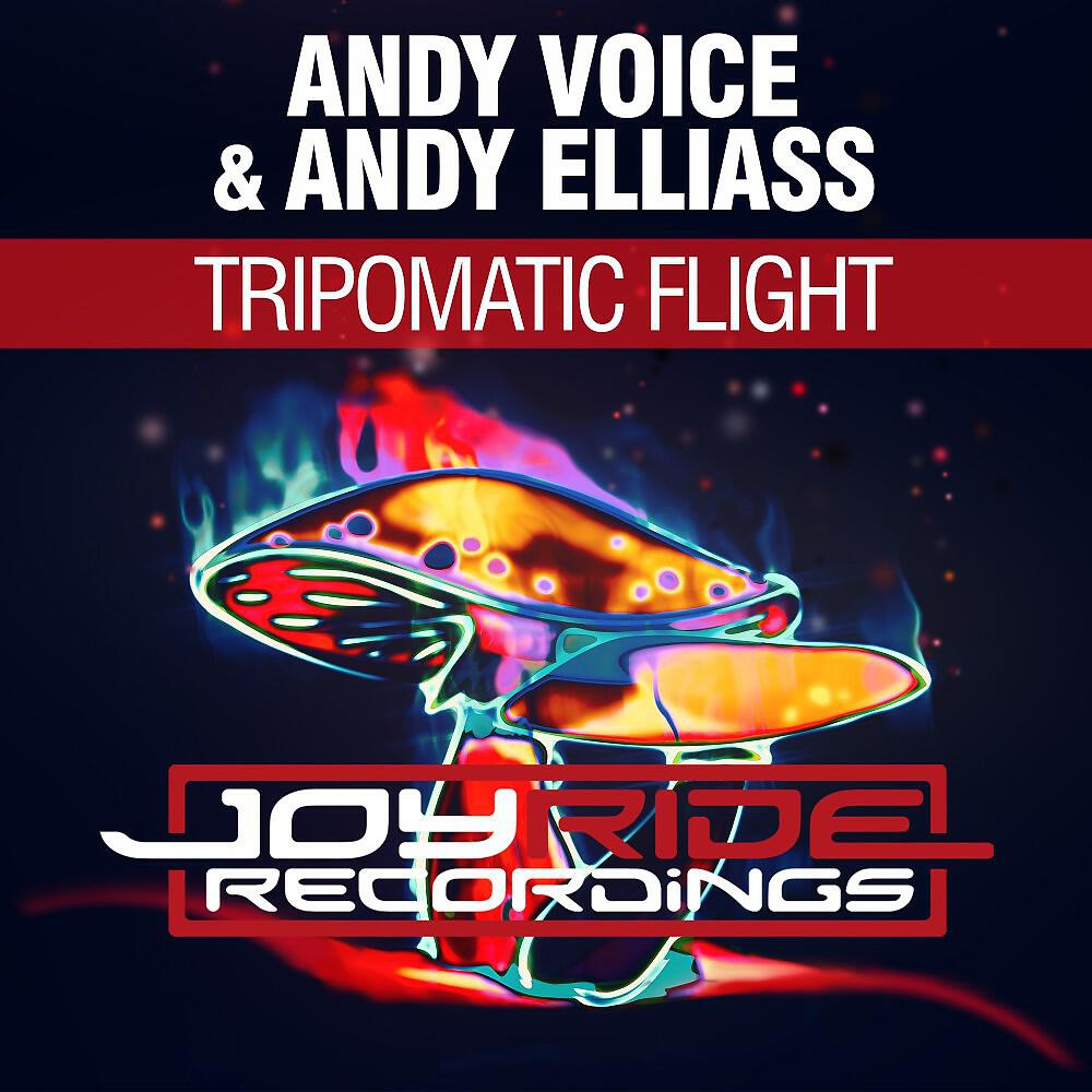 Релиз Tripomatic Flight