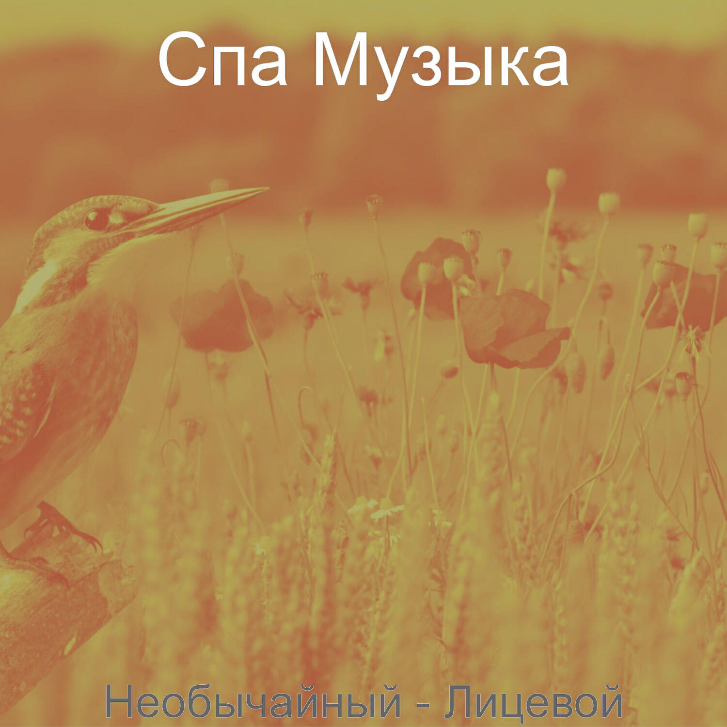 Постер альбома Необычайный - Лицевой