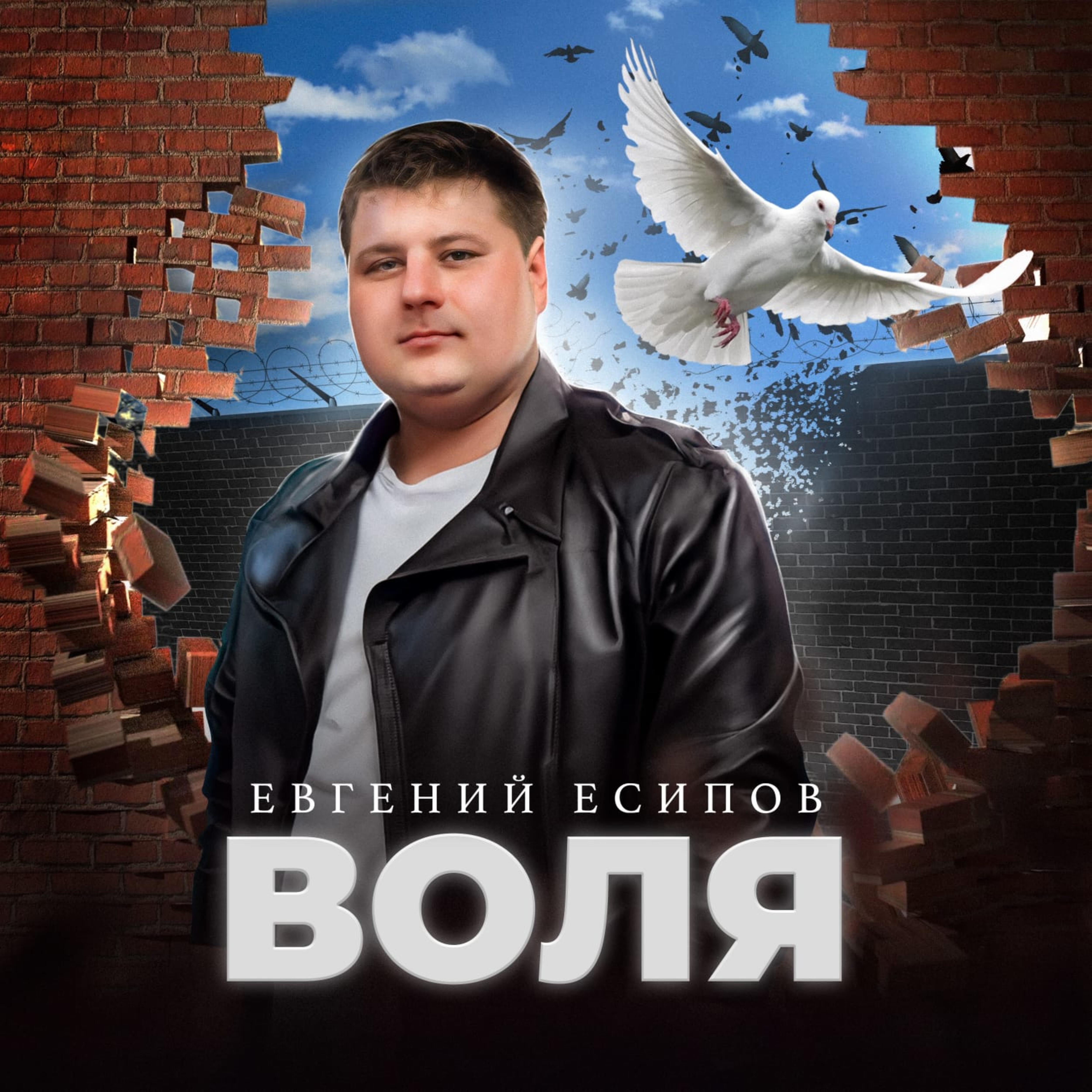 Постер альбома Воля