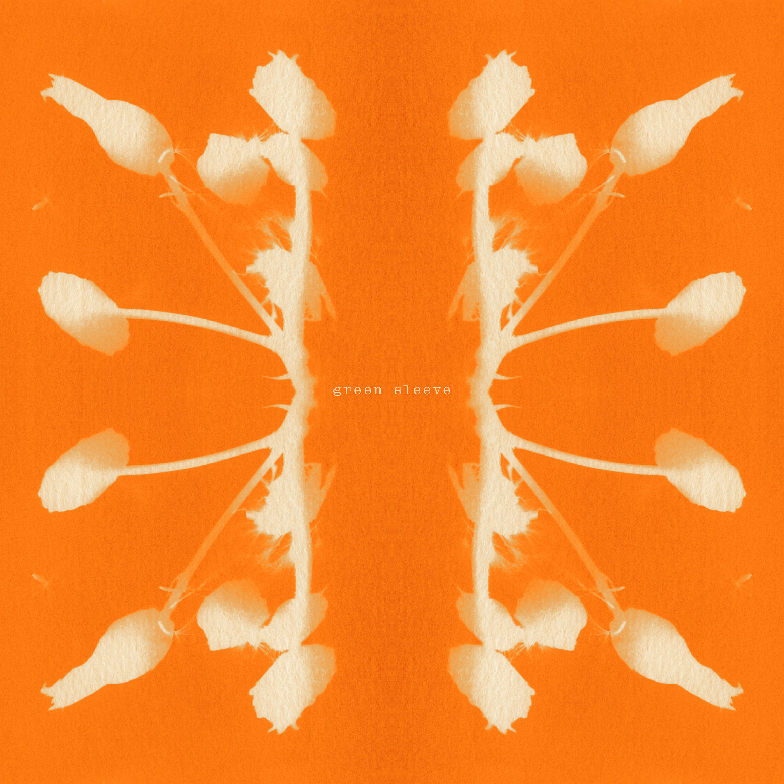 Релиз Green Sleeve