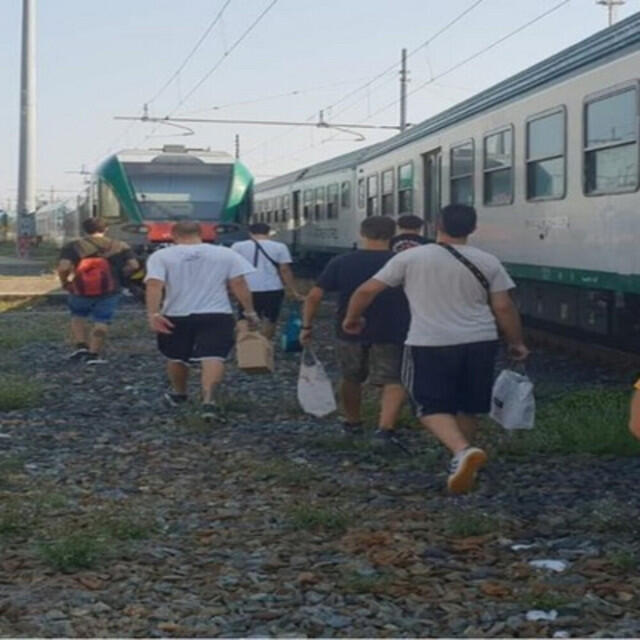 Релиз TEMAS DE VERANO
