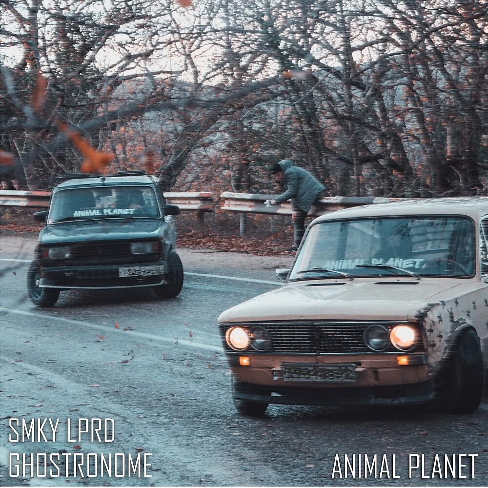Релиз Animal PLANET