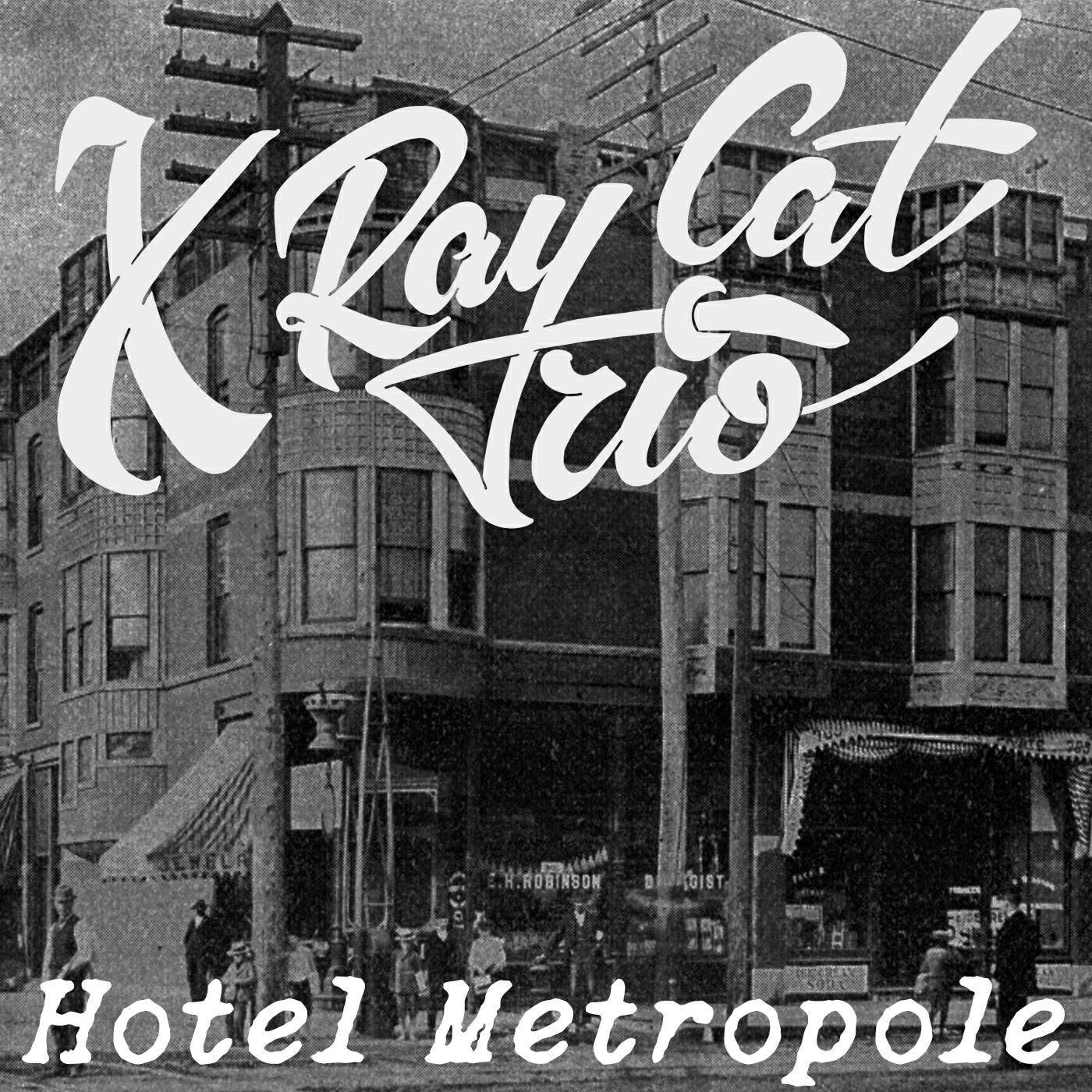 X Ray Cat Trio