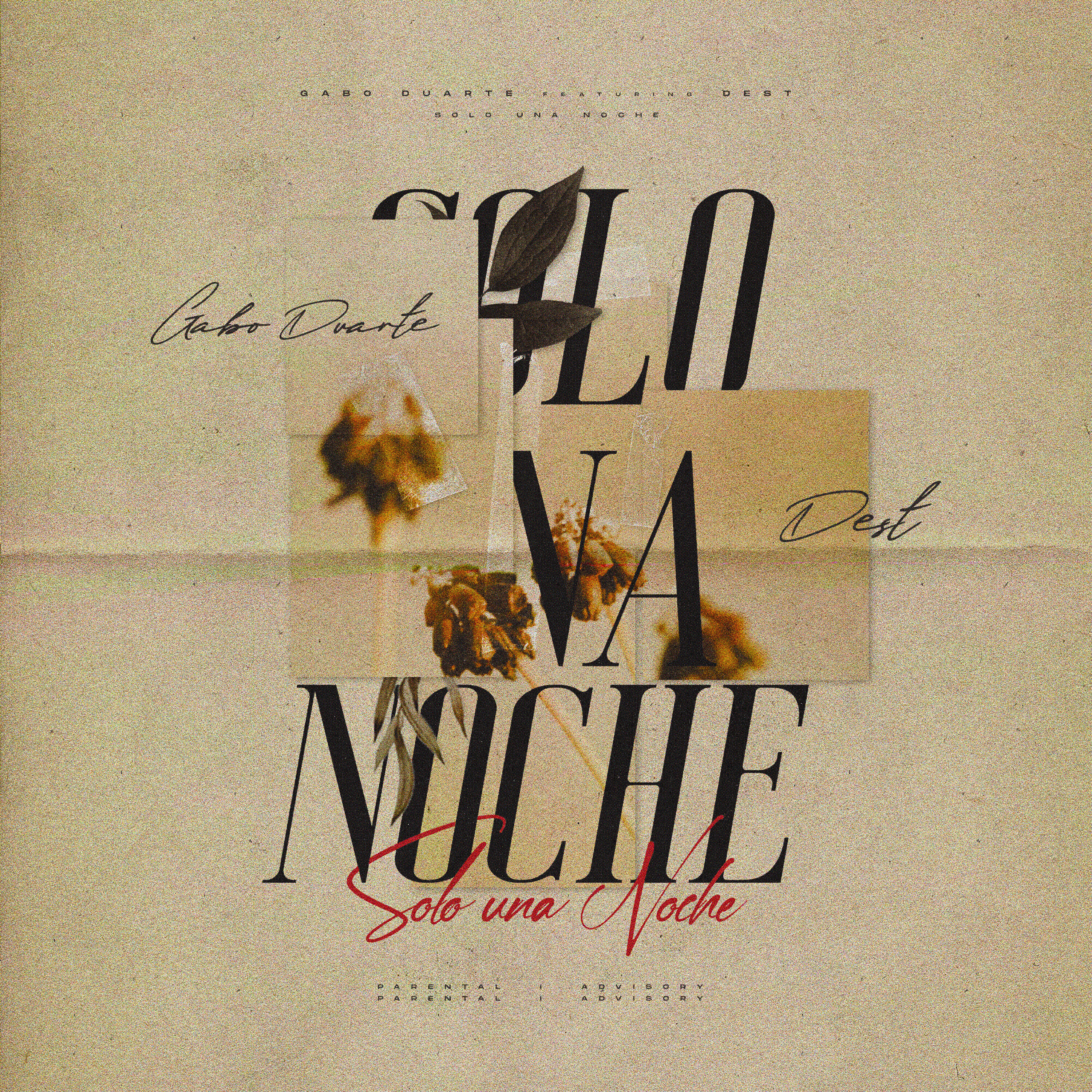 Скачать песню Gabo Duarte, Dest - Solo una Noche бесплатно в MP3 для Android и iOS