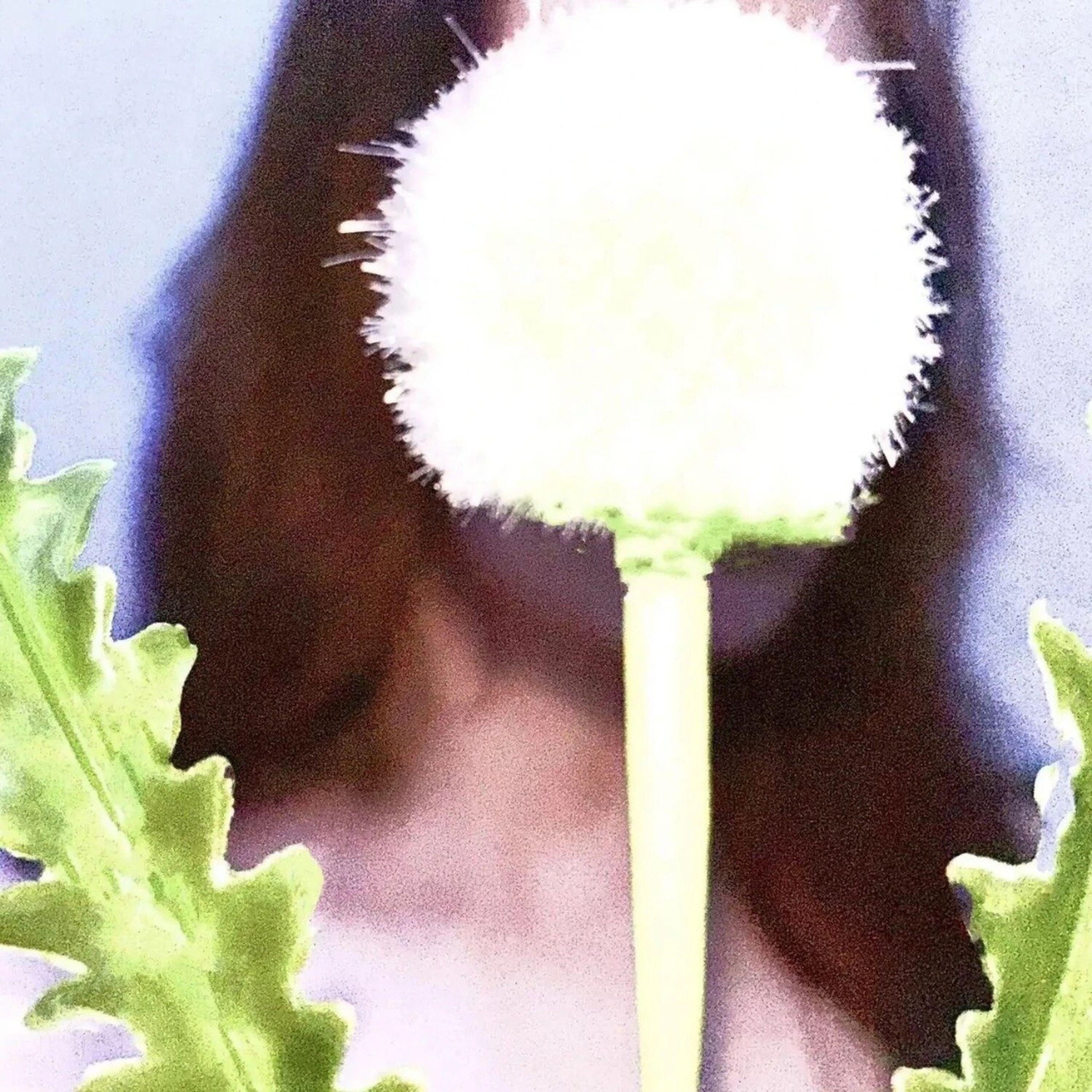 Релиз farewell