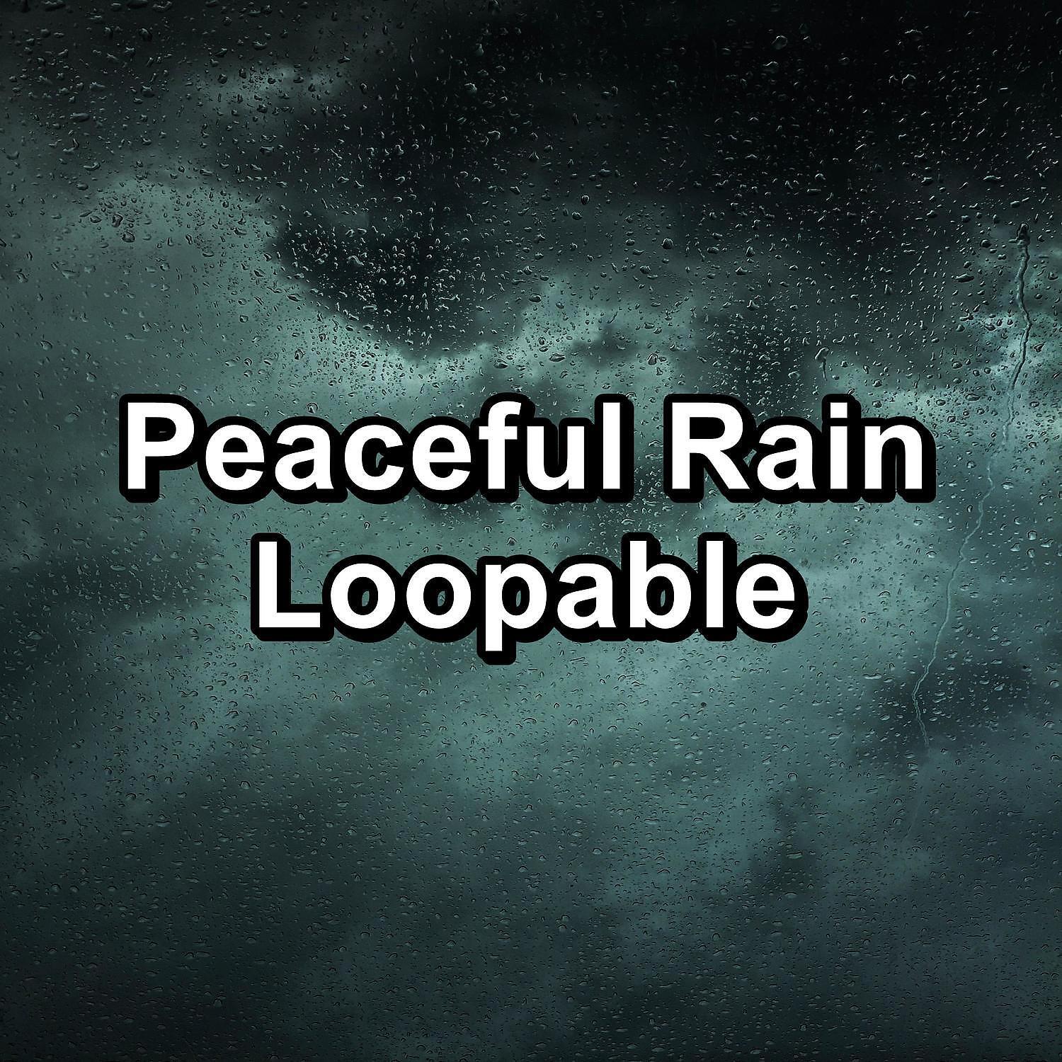 Sounds of Thunder and Rain