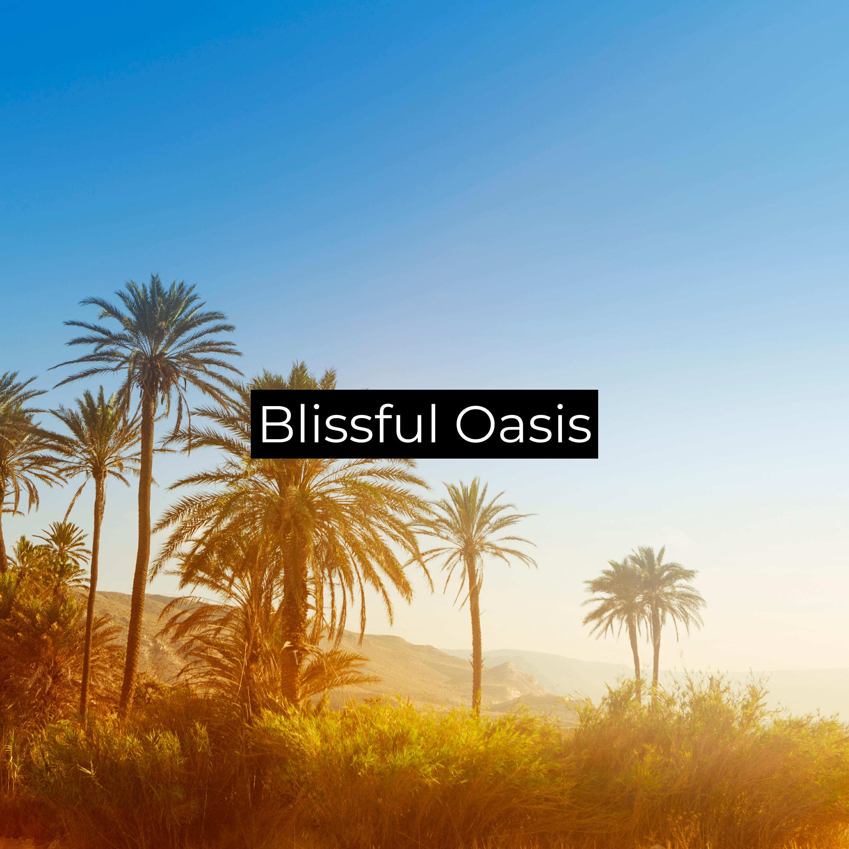 Релиз Blissful Oasis