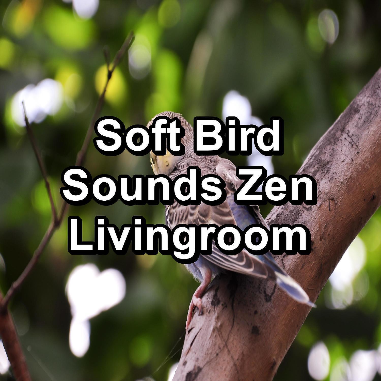 Релиз Soft Bird Sounds Zen Livingroom