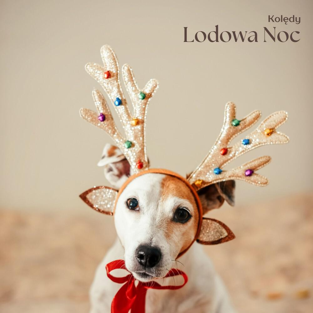 Kolędy
