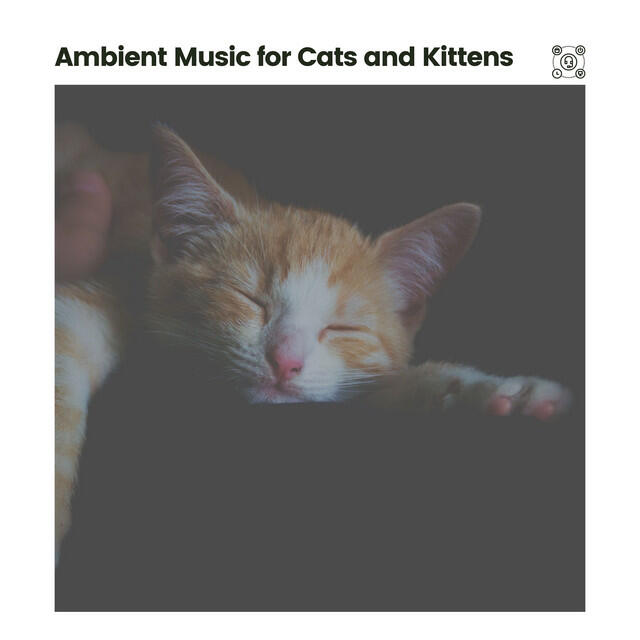 Релиз Ambient Music for Cats and Kittens