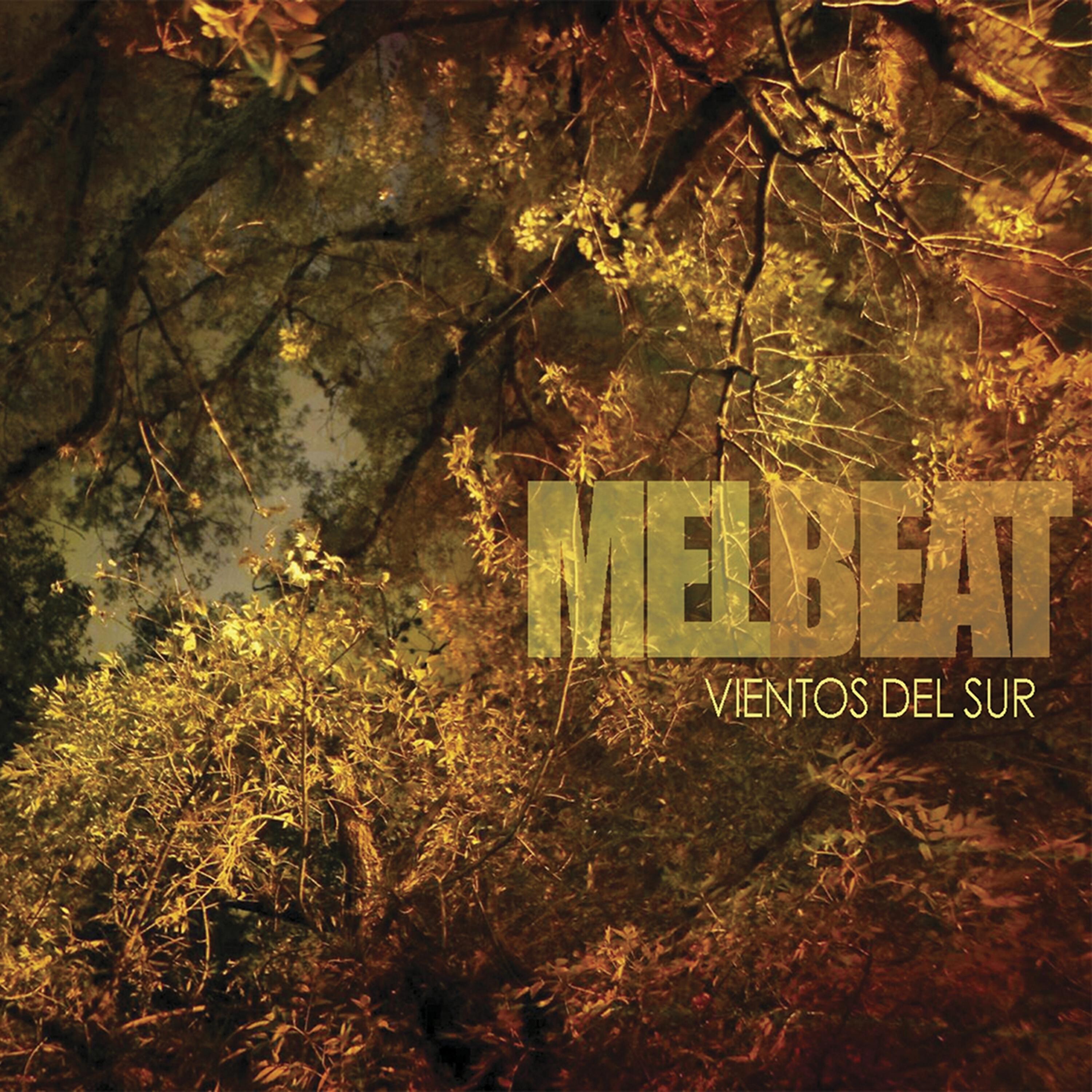 Релиз Vientos del sur