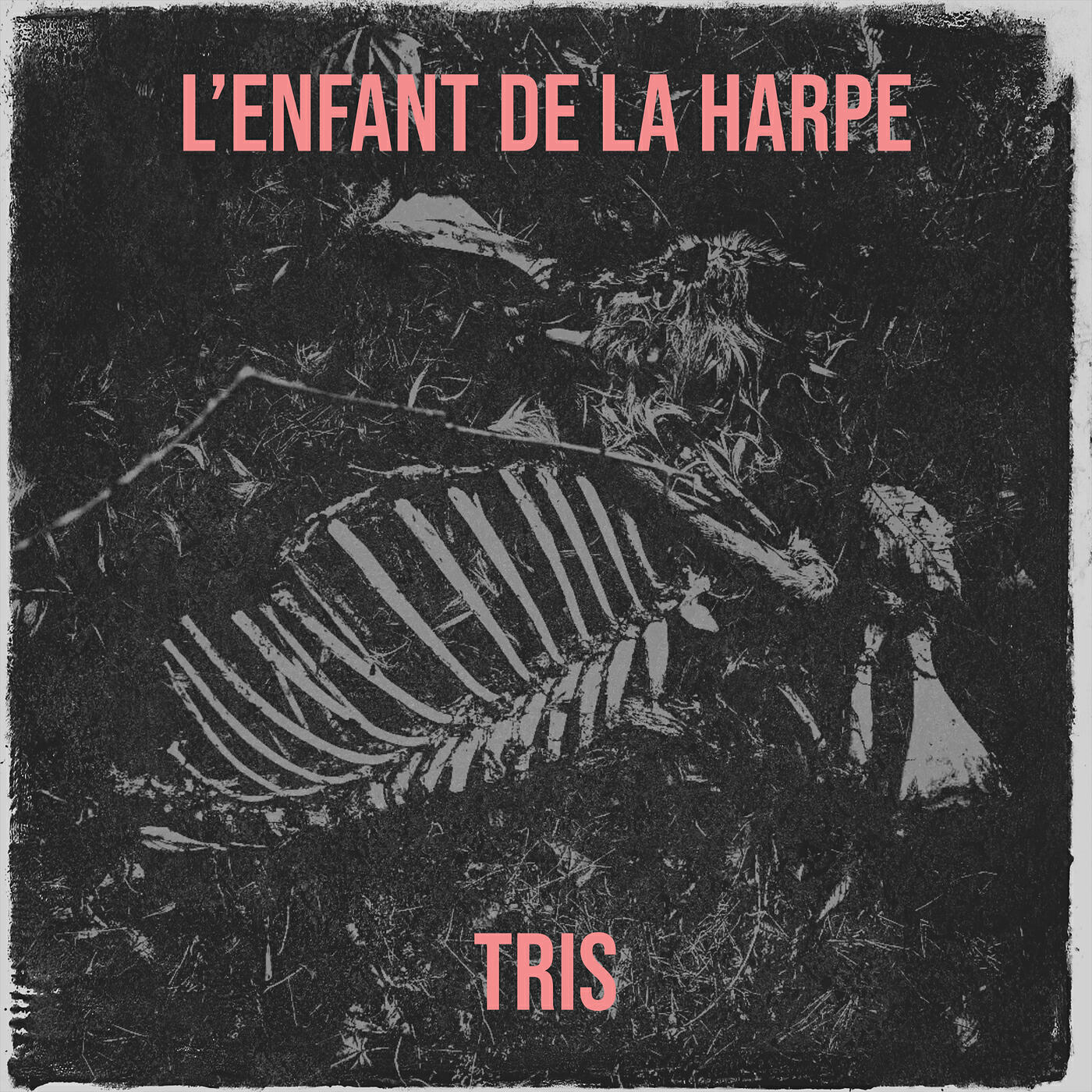 Релиз L’enfant de la harpe