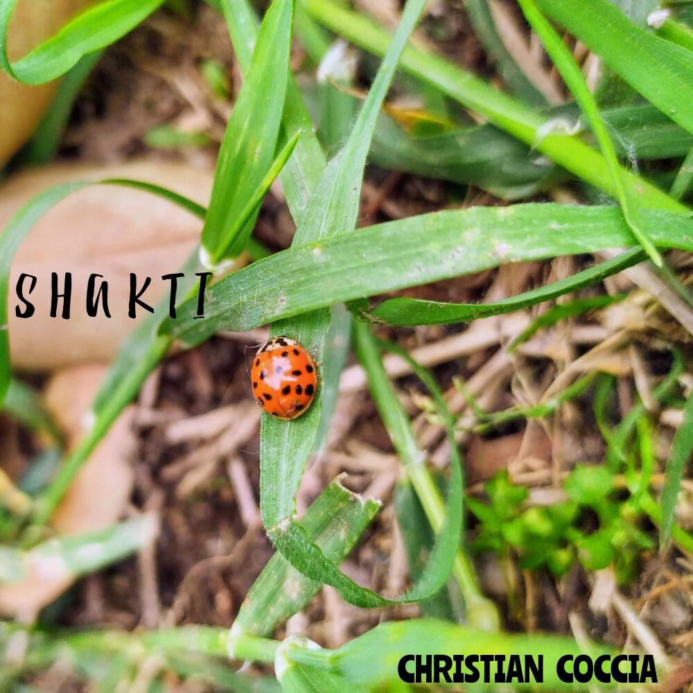 Christian Coccia