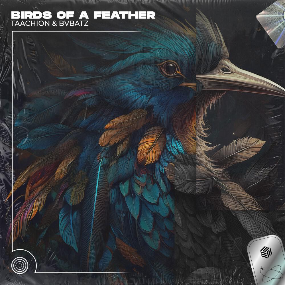 Релиз BIRDS OF A FEATHER
