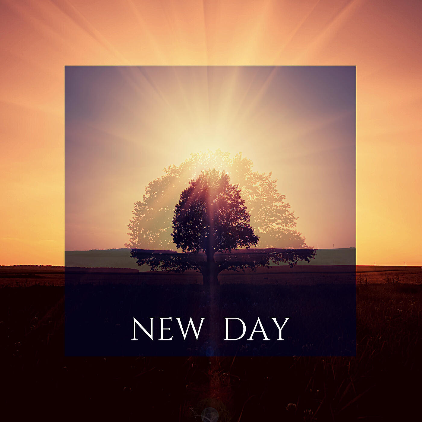 Релиз New Day