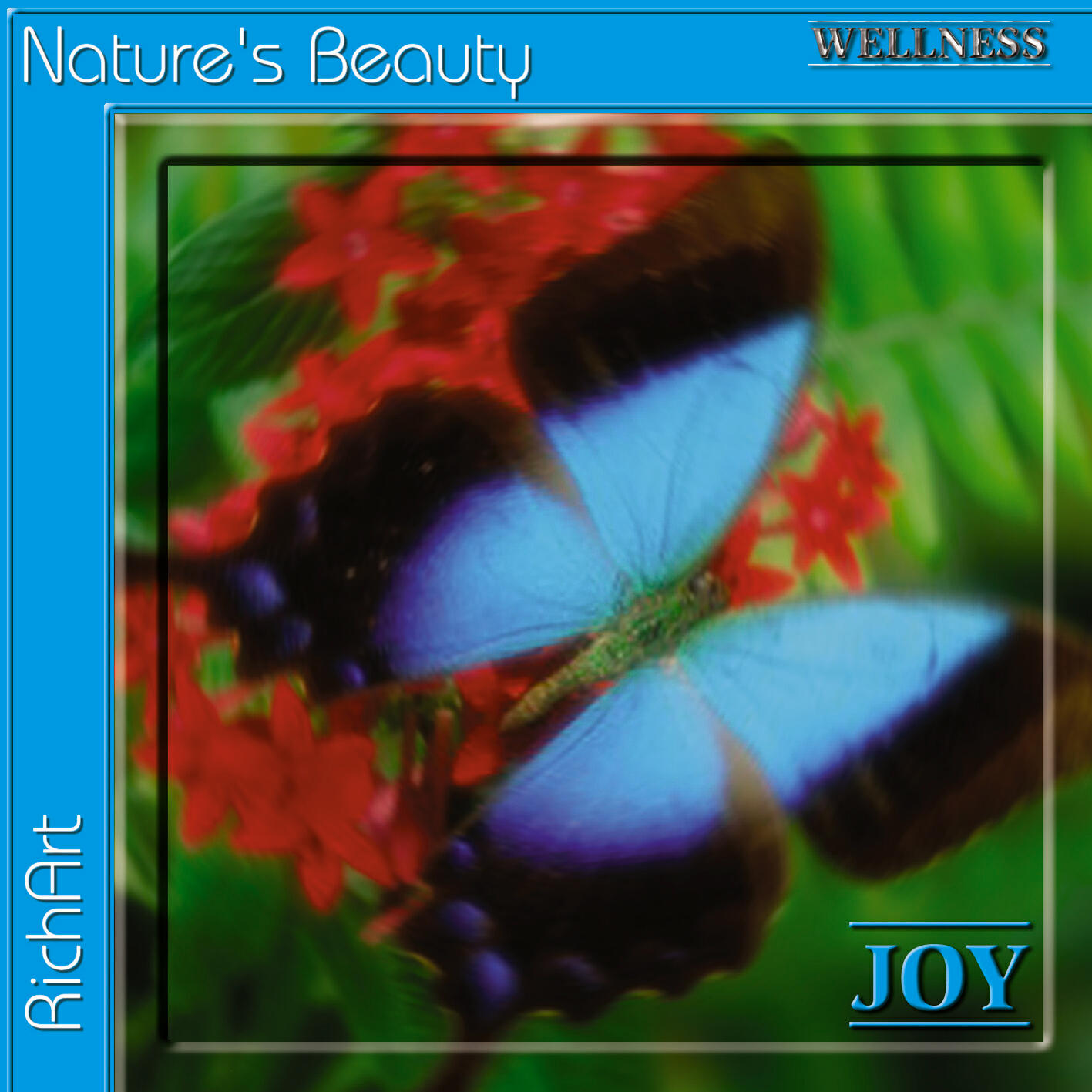 Релиз Joy