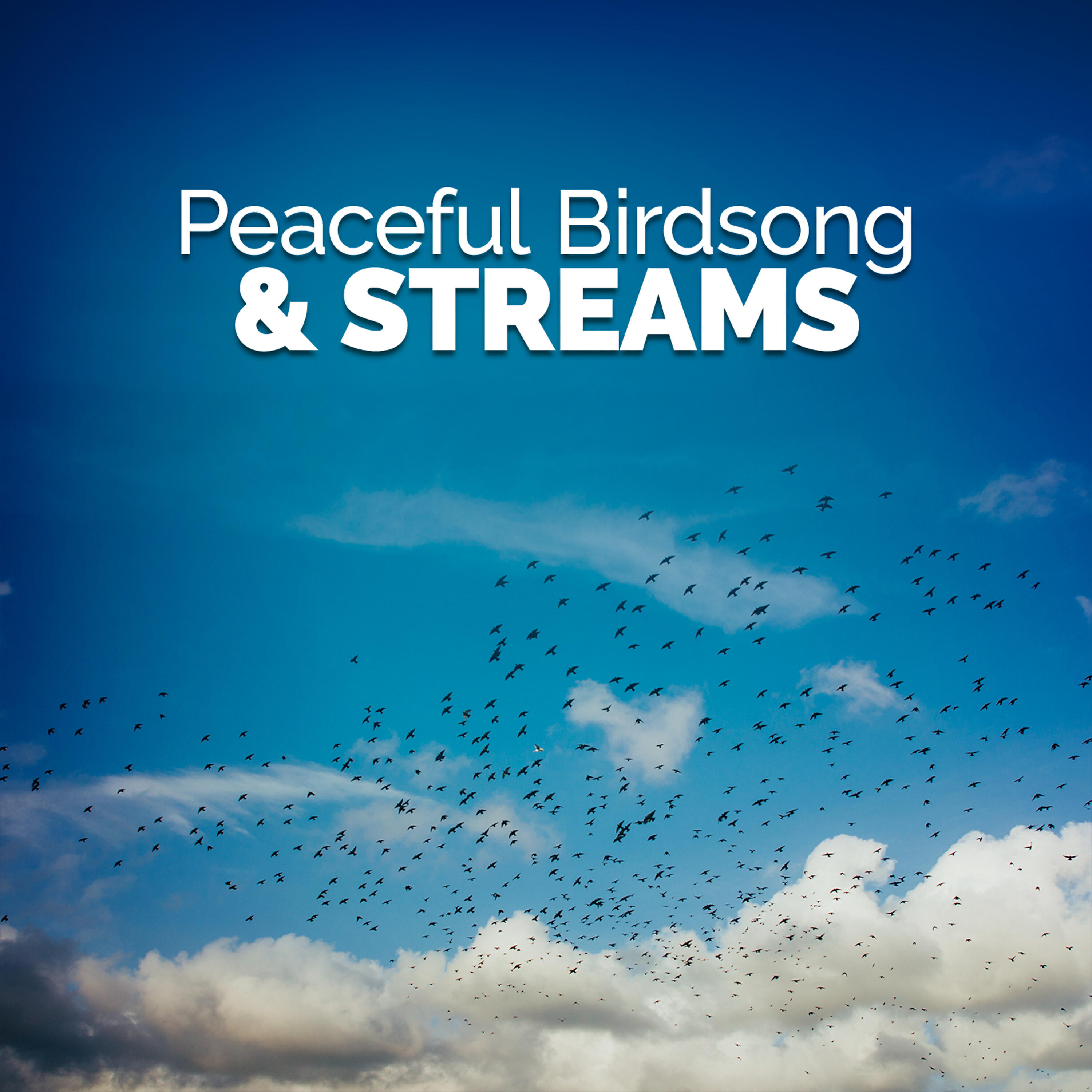 Релиз Peaceful Birdsong & Streams