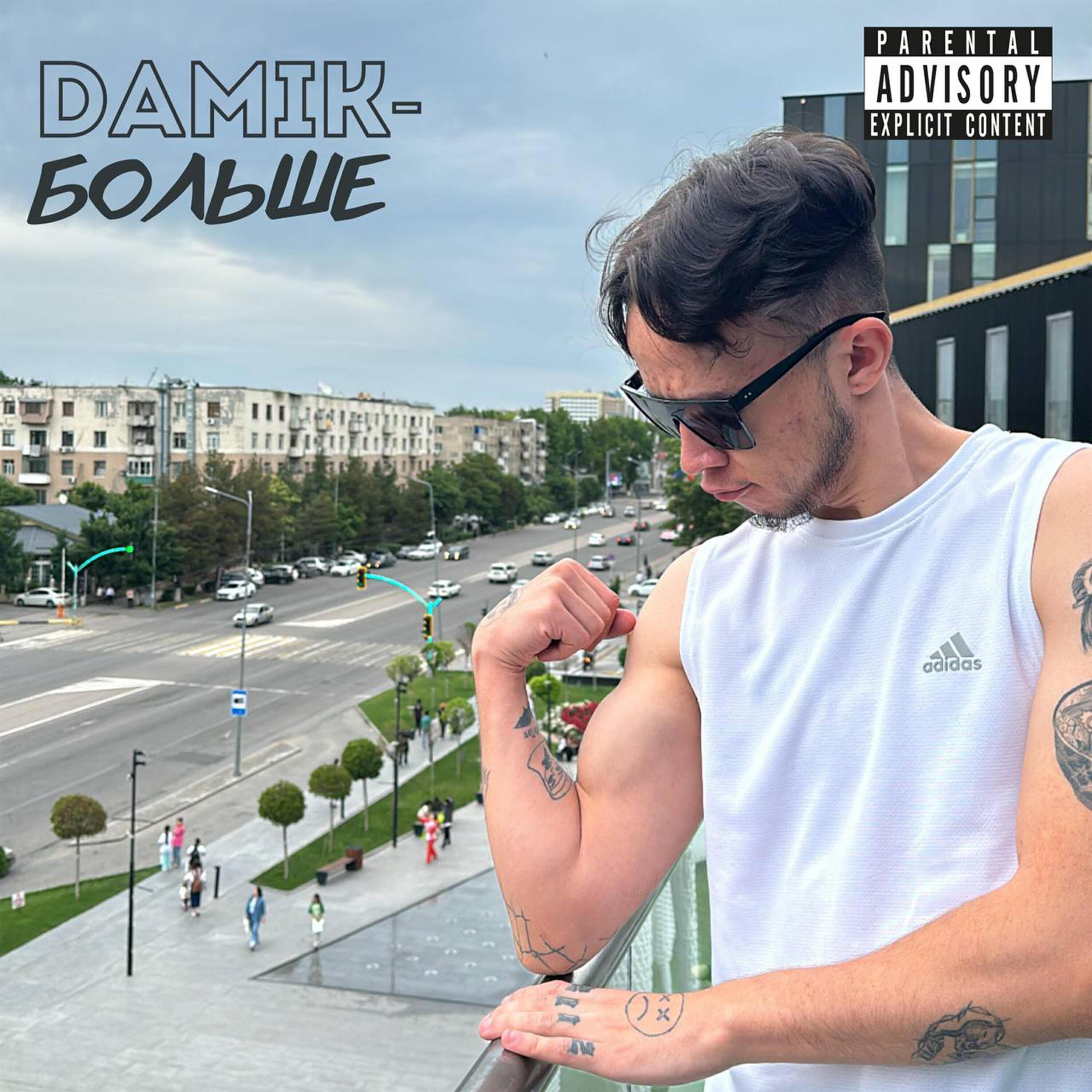 DAMIK