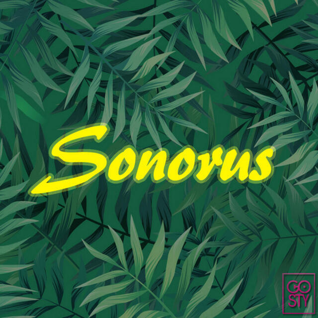 Релиз Sonorus