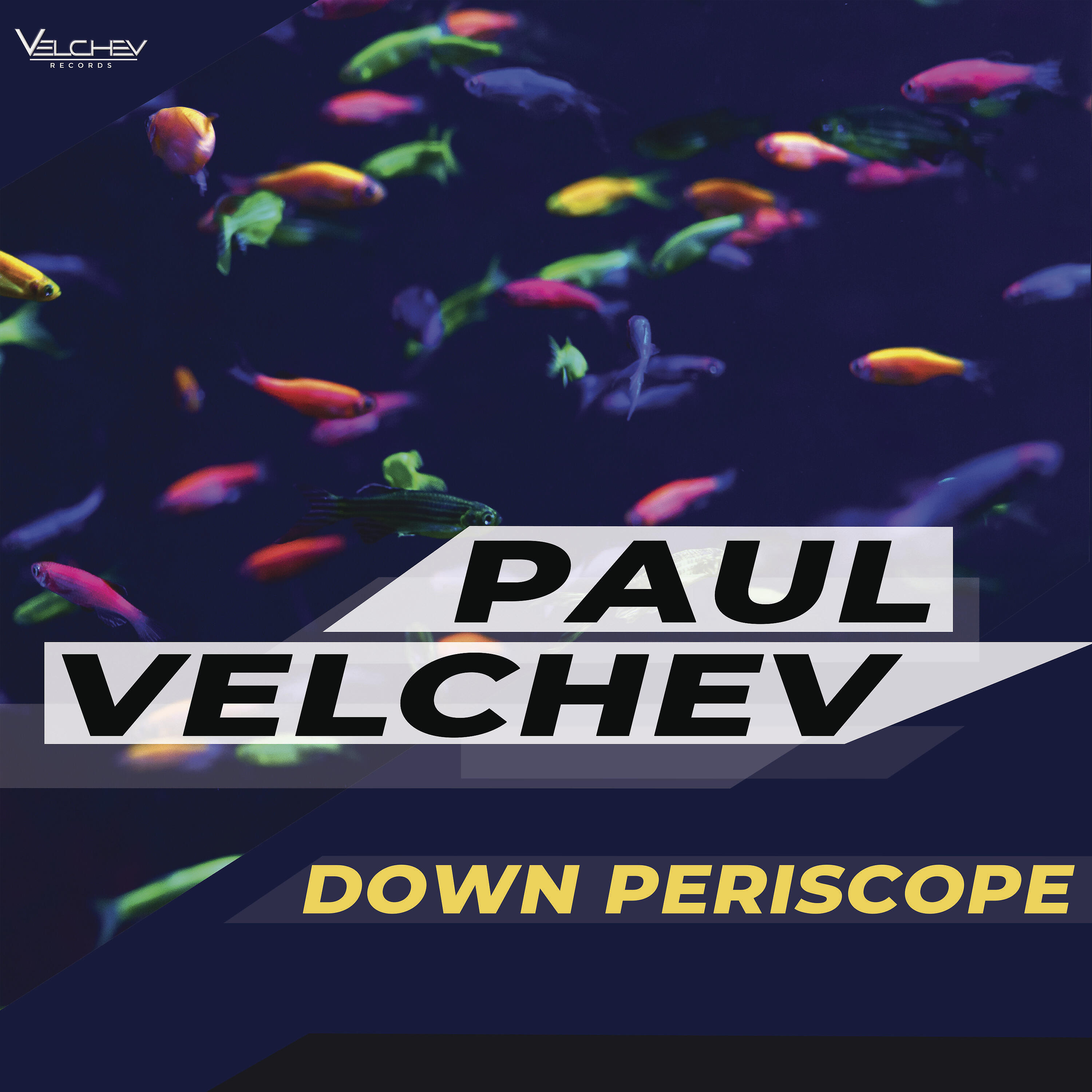 Релиз Down Periscope
