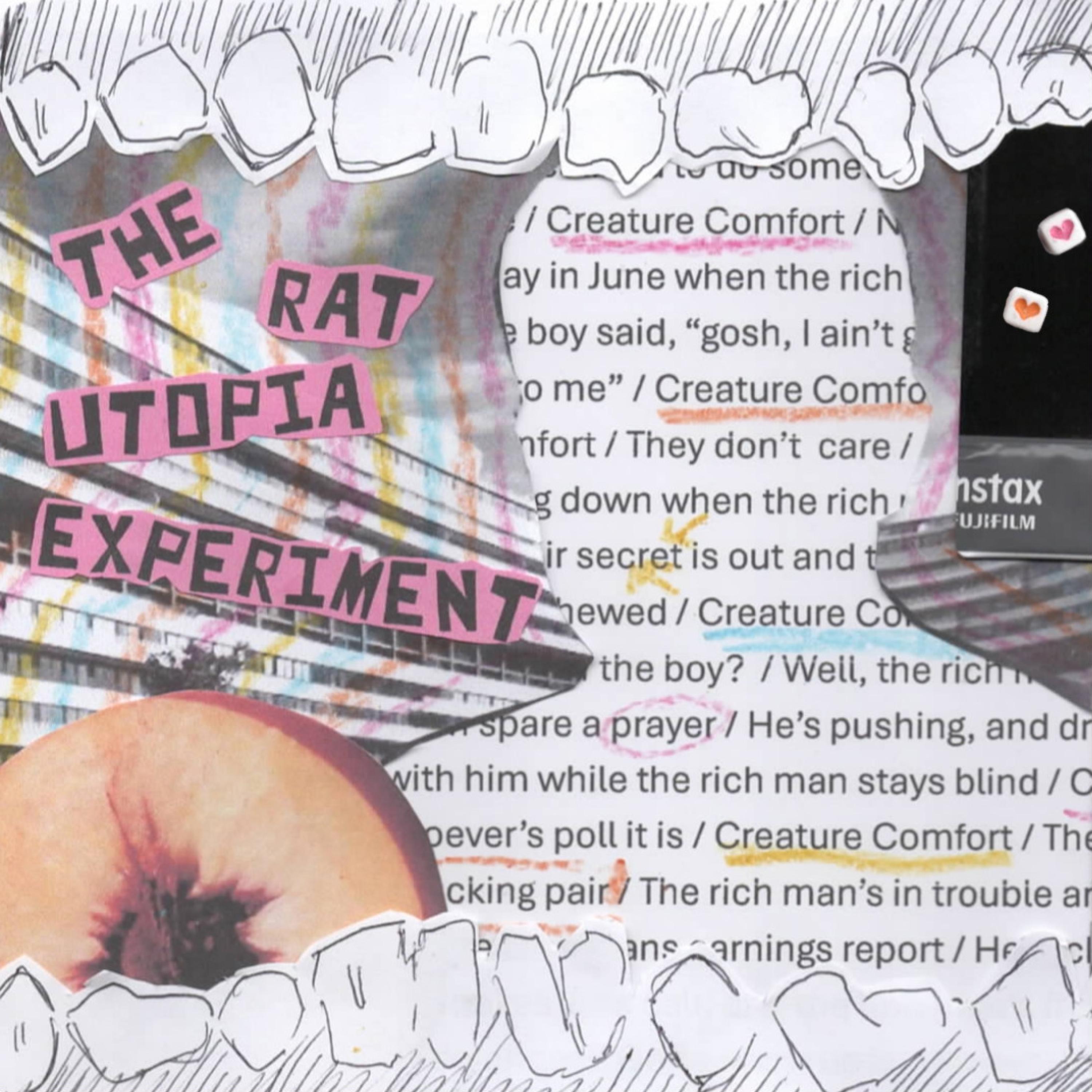 The Rat Utopia Experiment