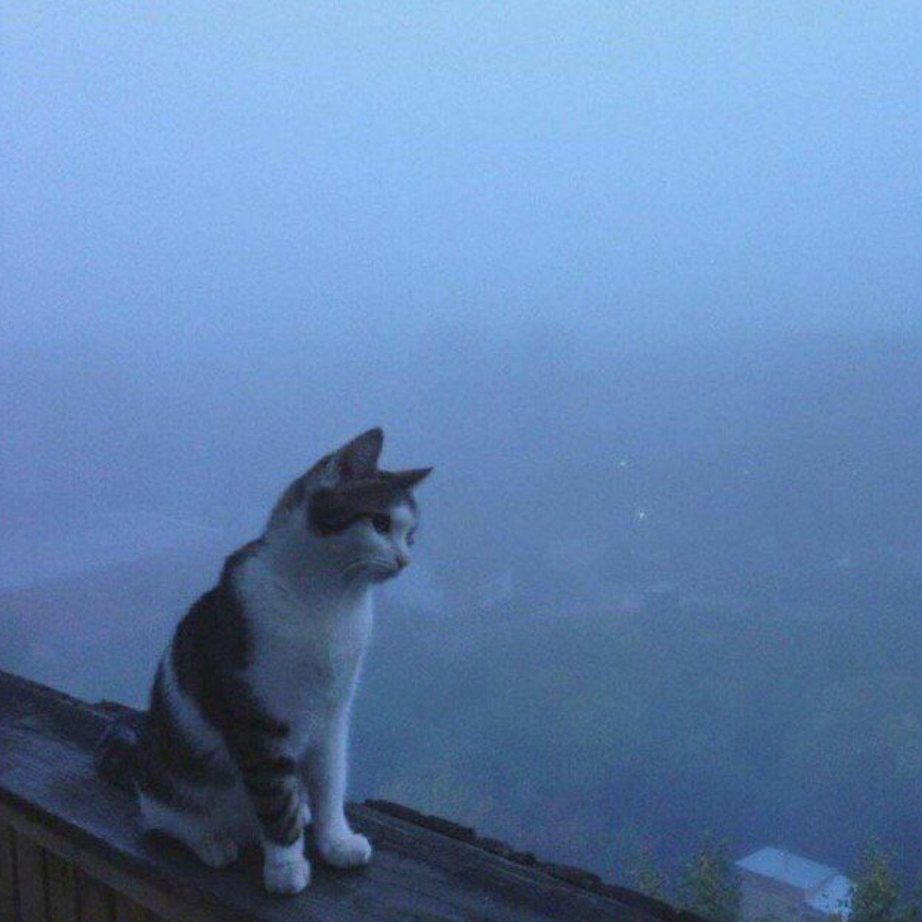 Релиз i miss you