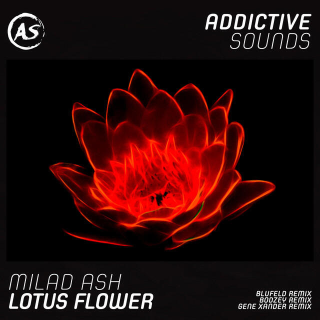 Релиз Lotus Flower (Remixes)