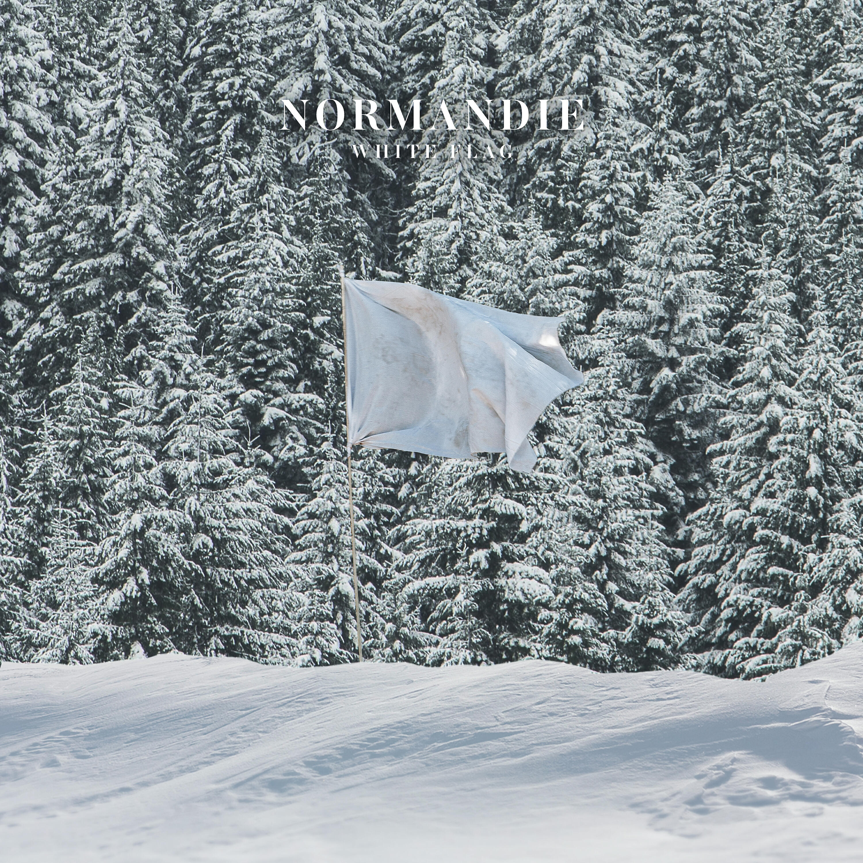 Релиз White Flag (Reimagined)