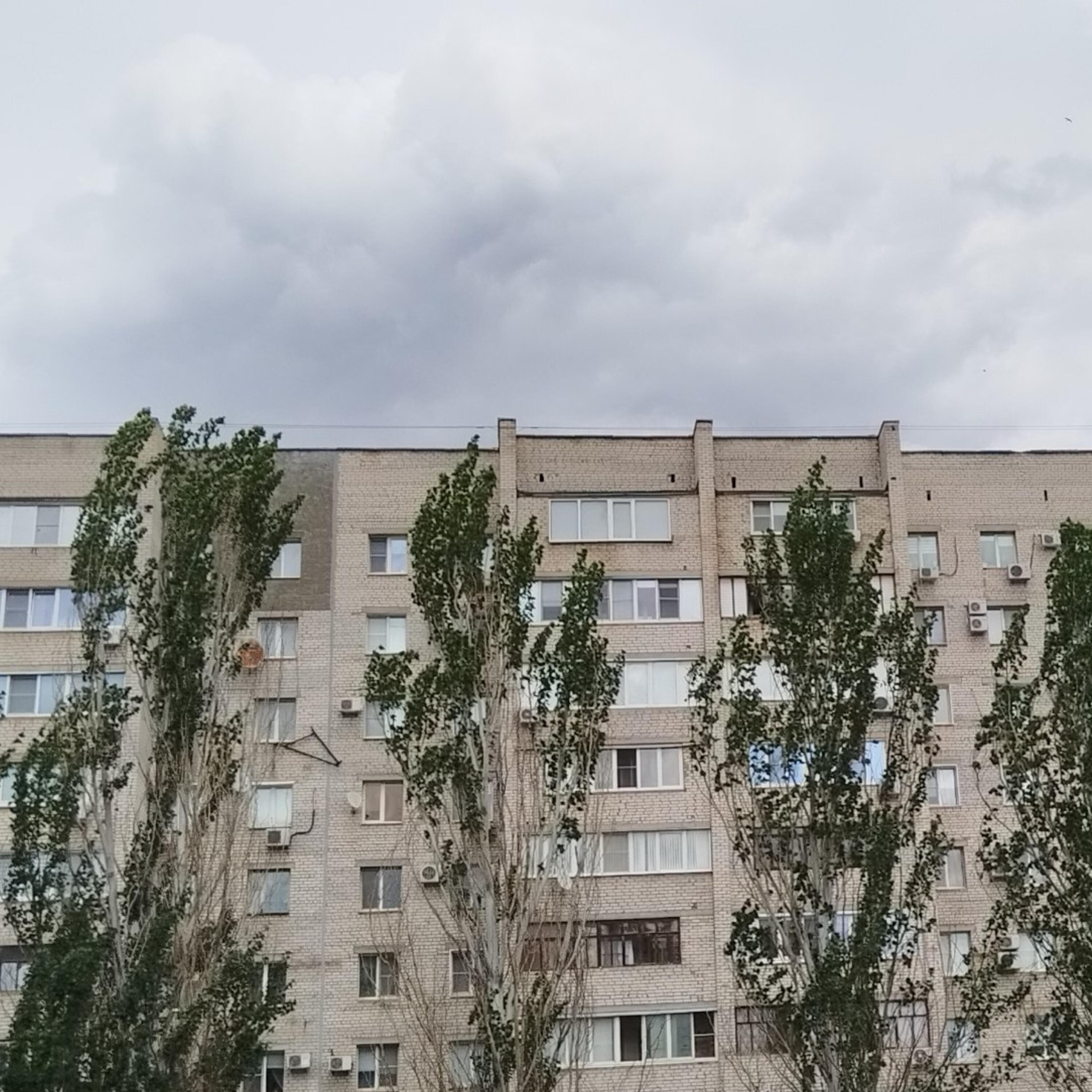 Релиз Я - Мудак