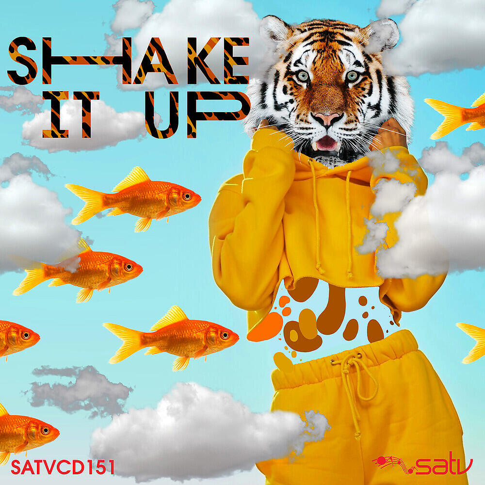 Релиз Shake It Up