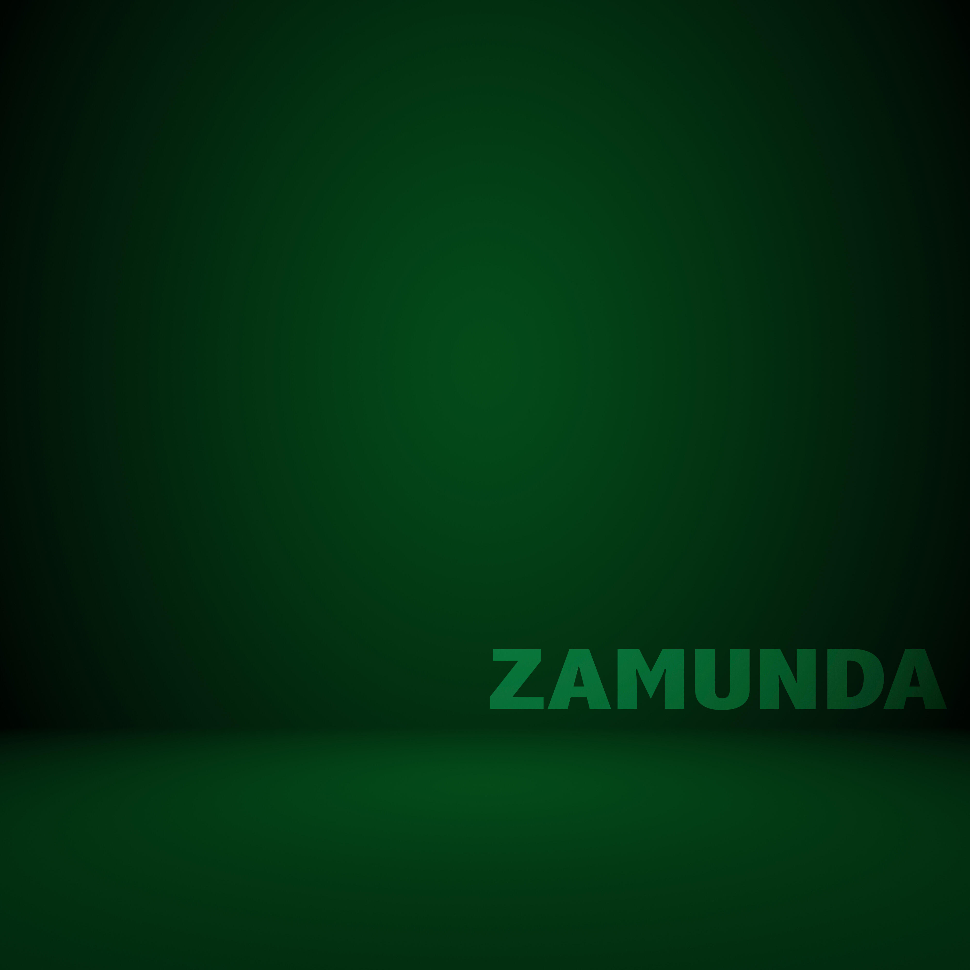 Релиз Zamunda