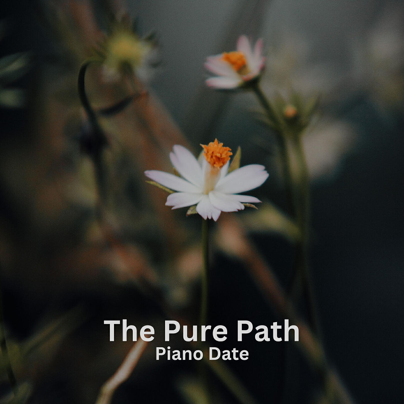 Релиз The Pure Path
