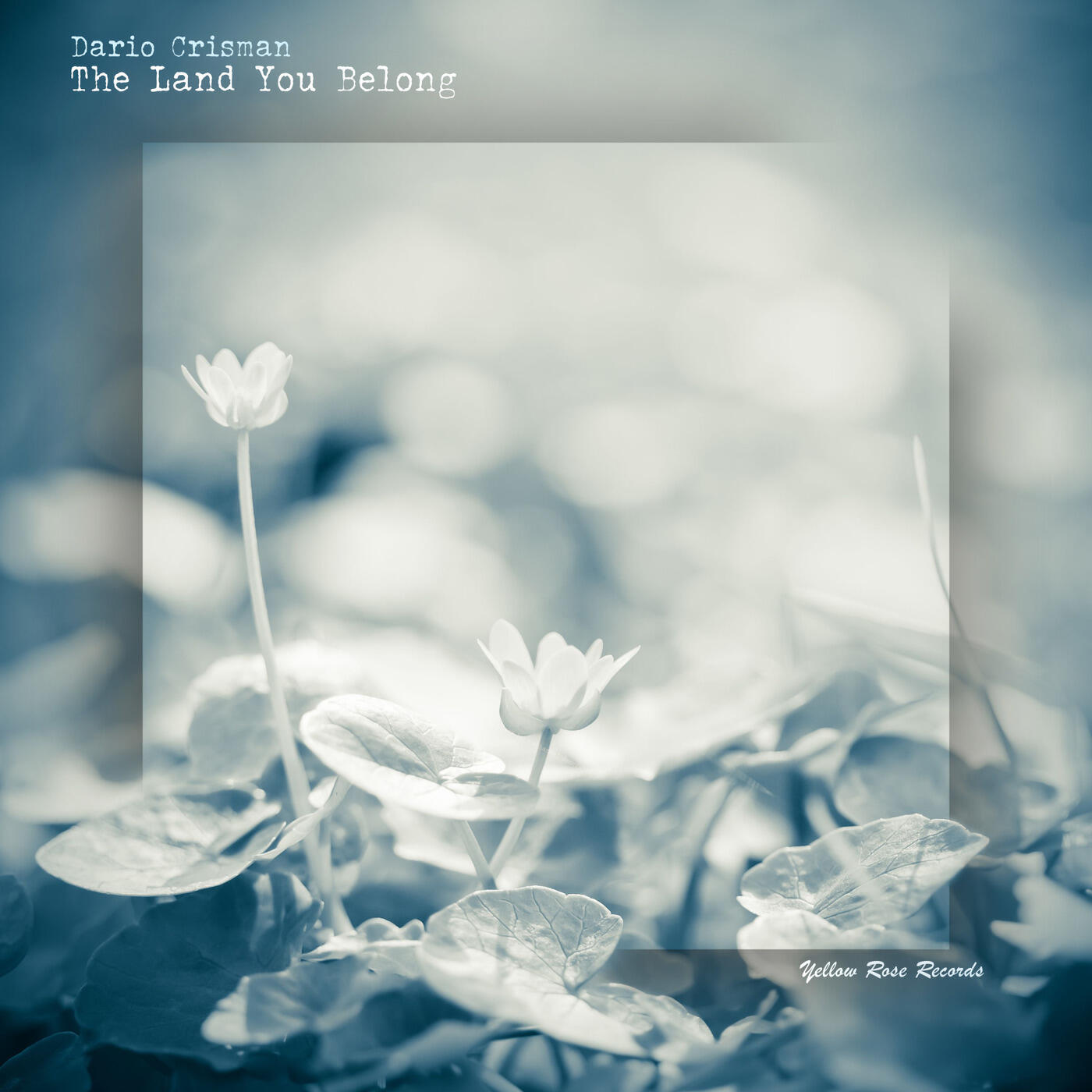 Релиз The Land You Belong