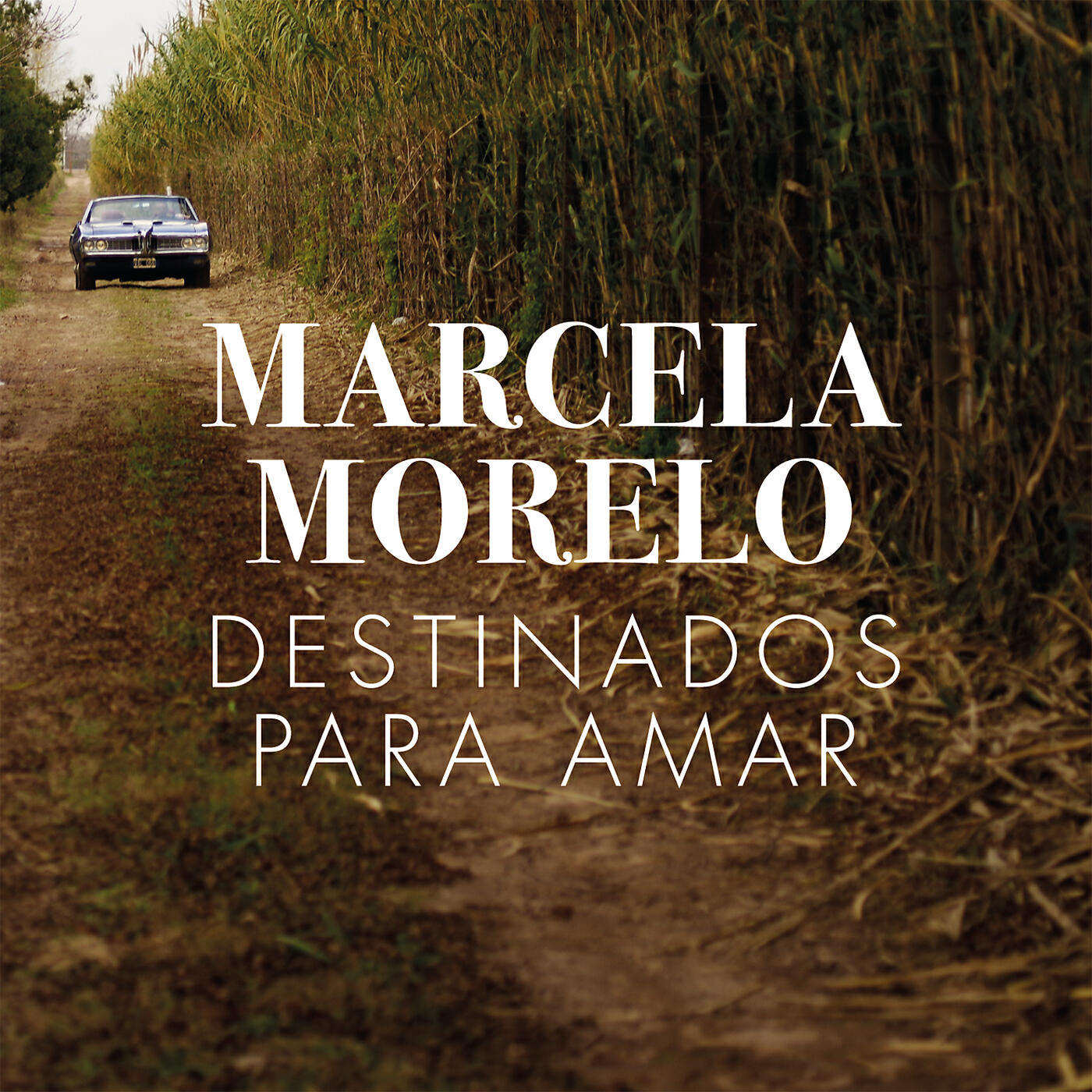 Релиз Destinados para Amar