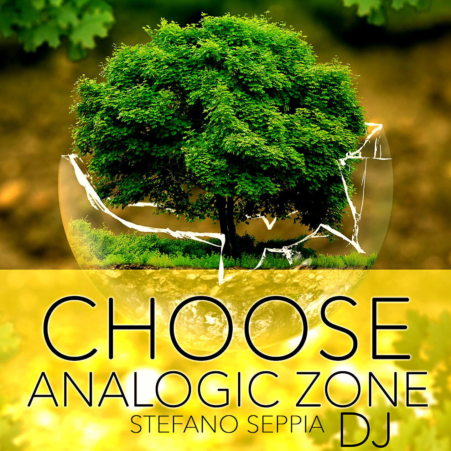 Релиз CHOOSE ANALOGIC ZONE