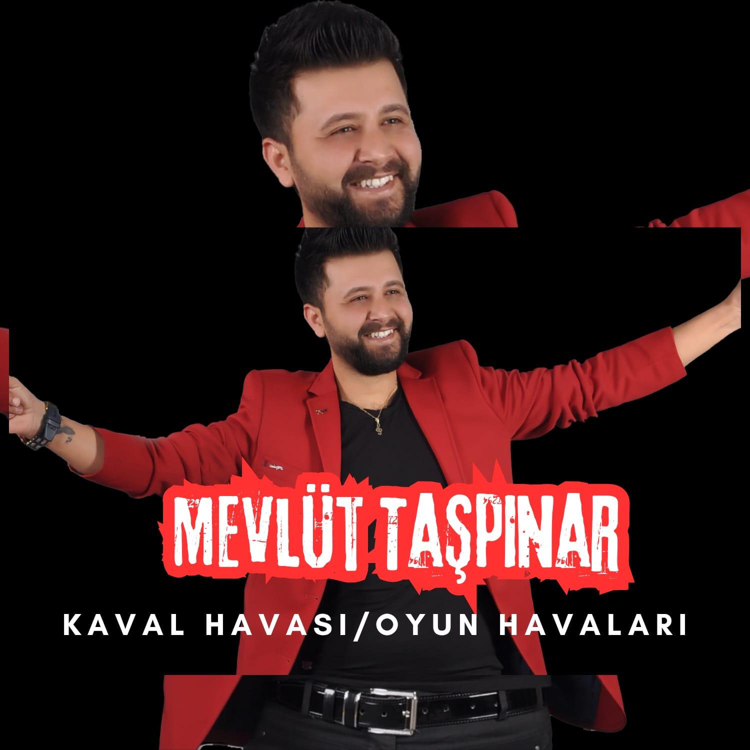 Постер альбома Kaval Havası / Oyun Havaları