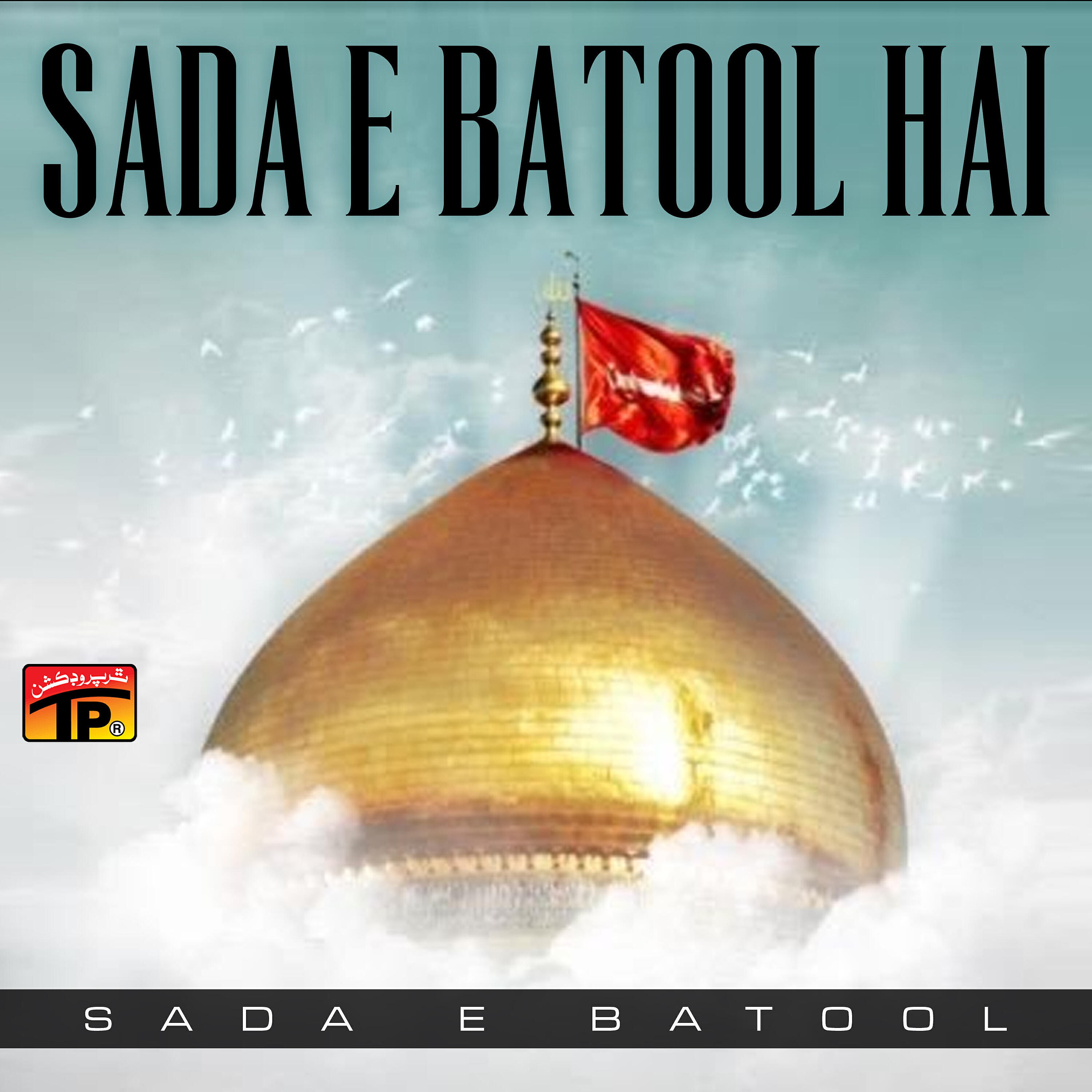 Релиз Sada E Batool Hai