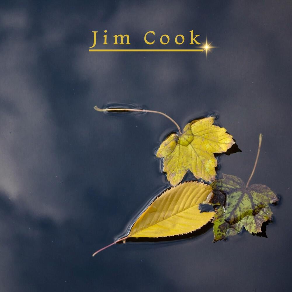 Релиз Jim Cook