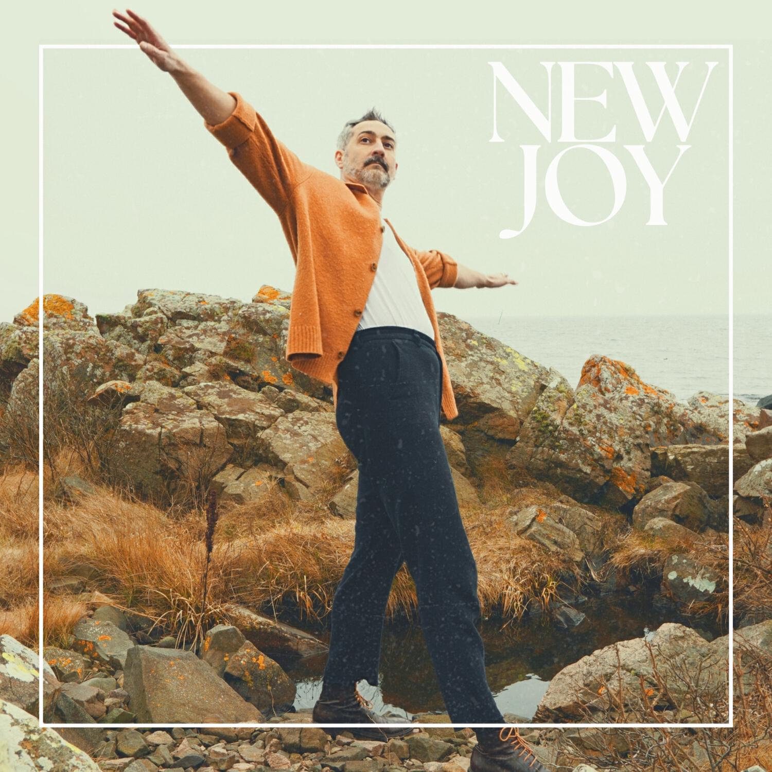 Релиз New Joy