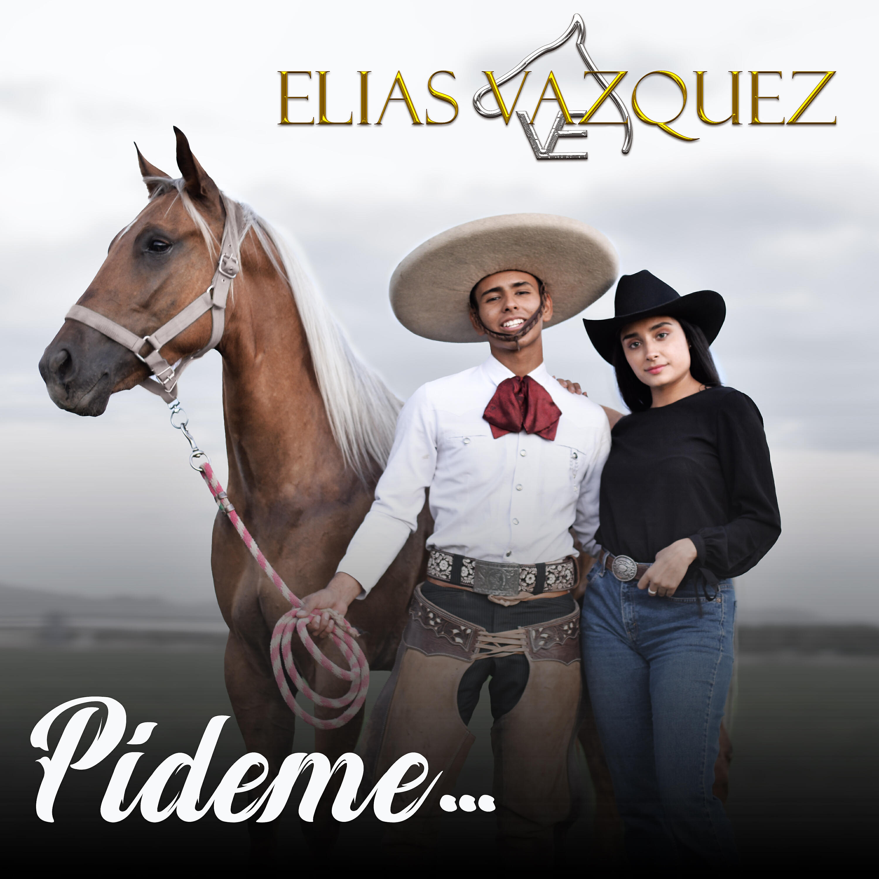 Релиз Pídeme