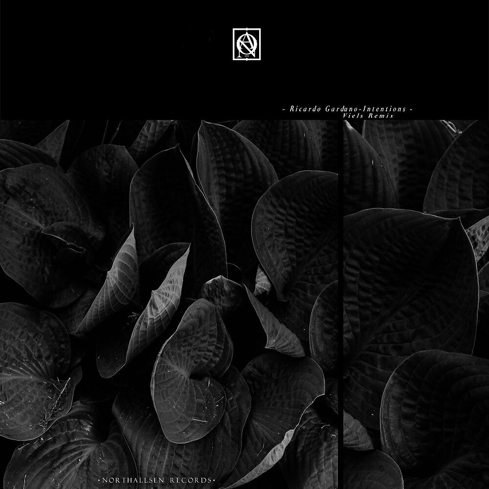 Релиз Intentions