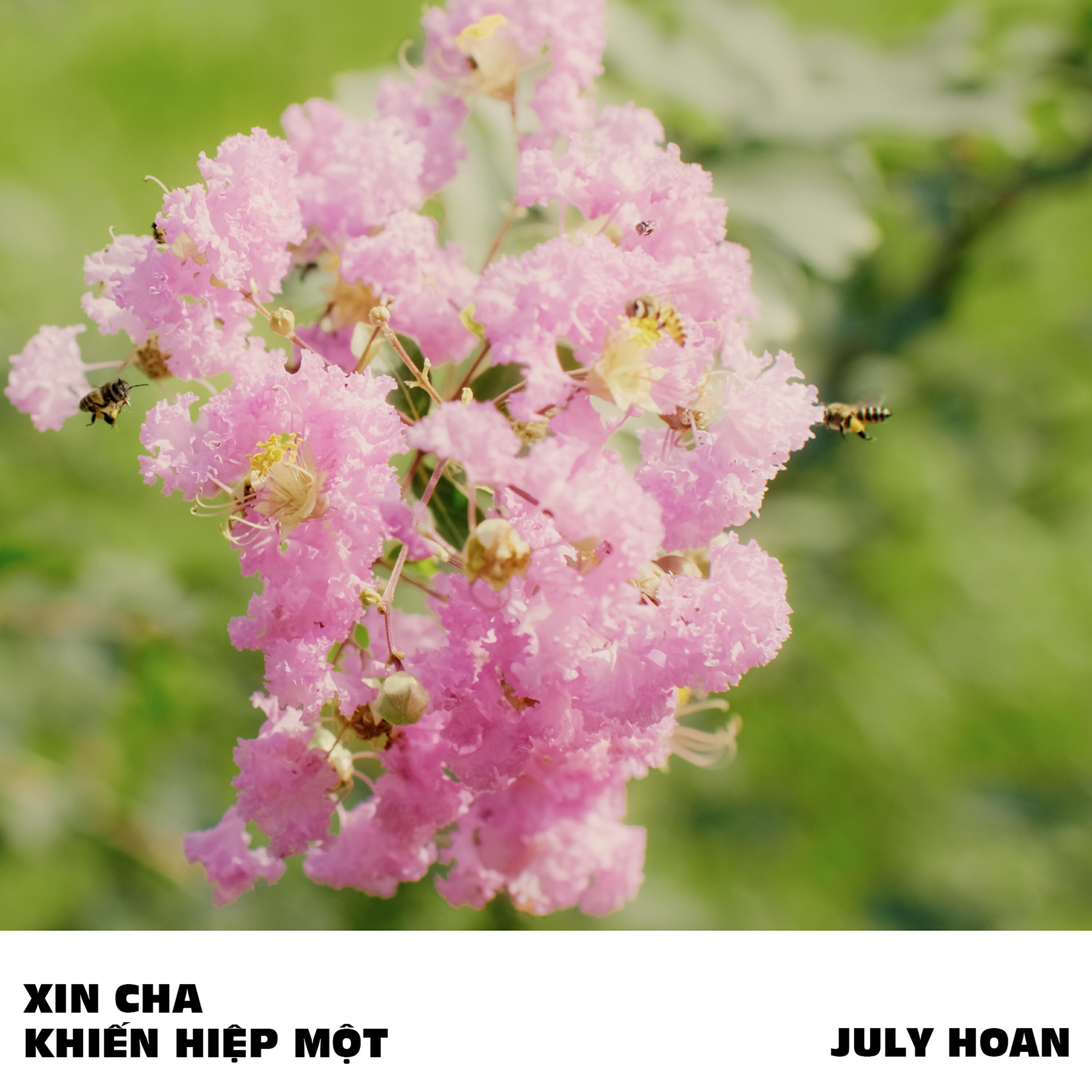 Релиз Xin Cha Khiến Hiệp Một
