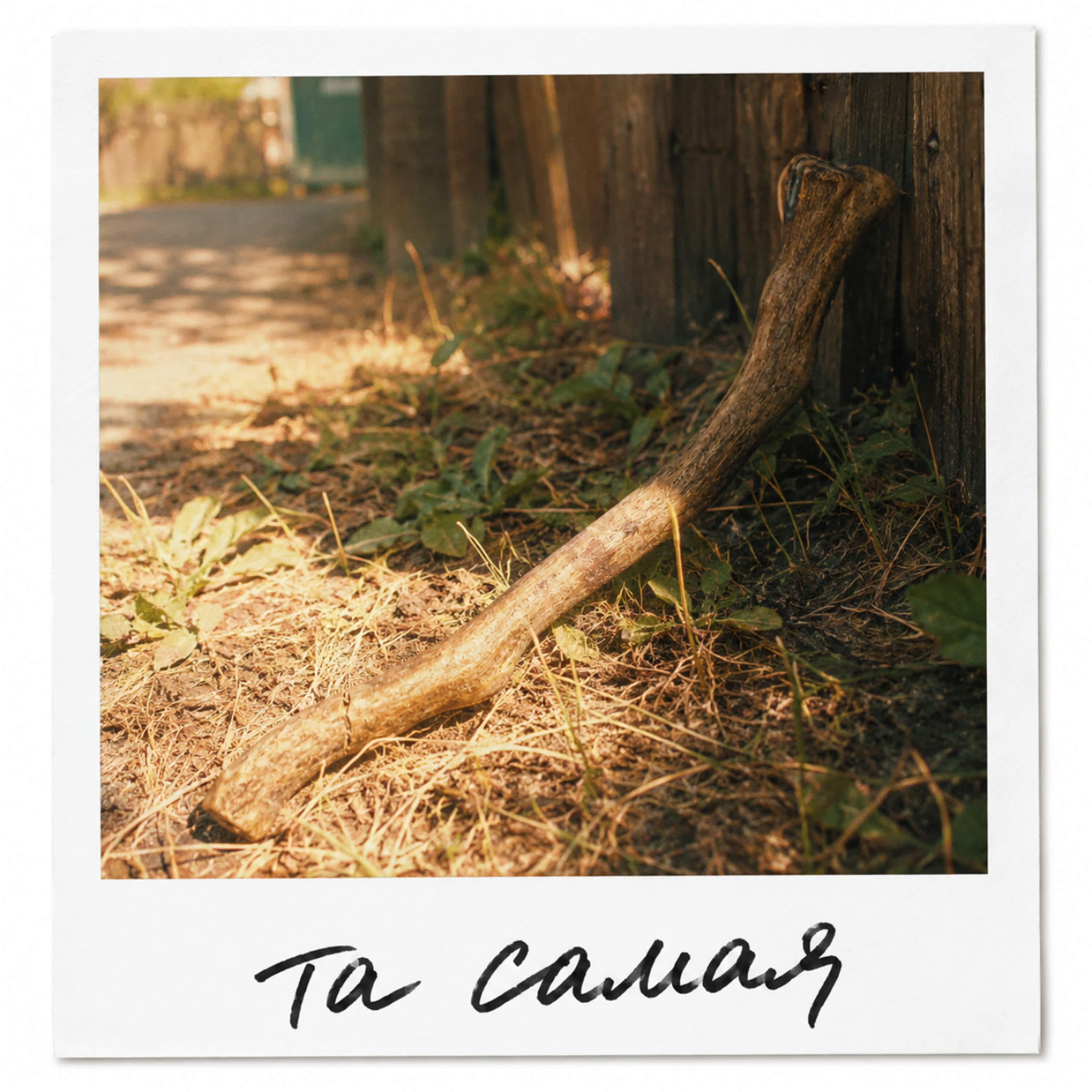 Релиз Та самая